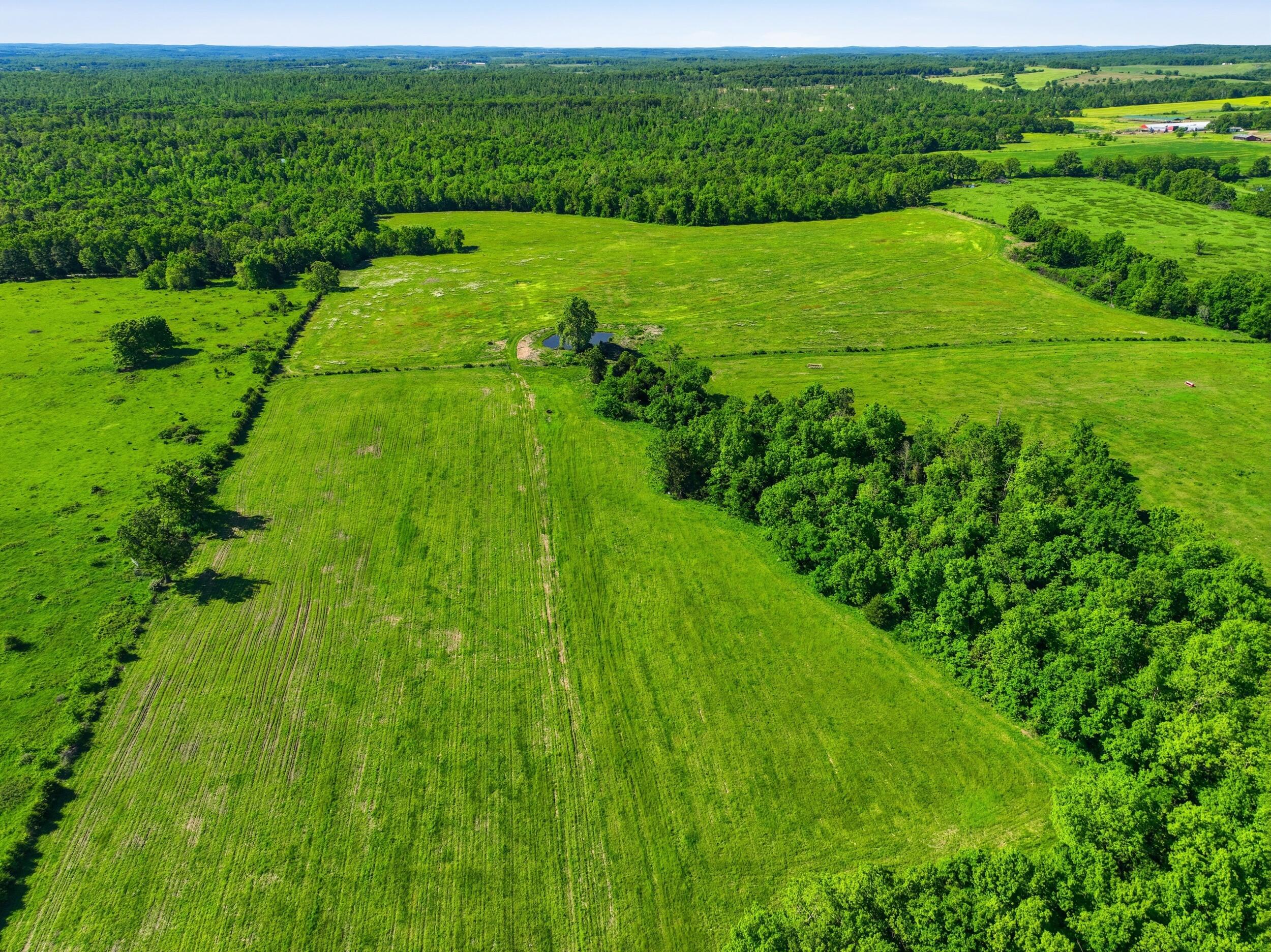 9290 Burton Branch Road Property Photo 54