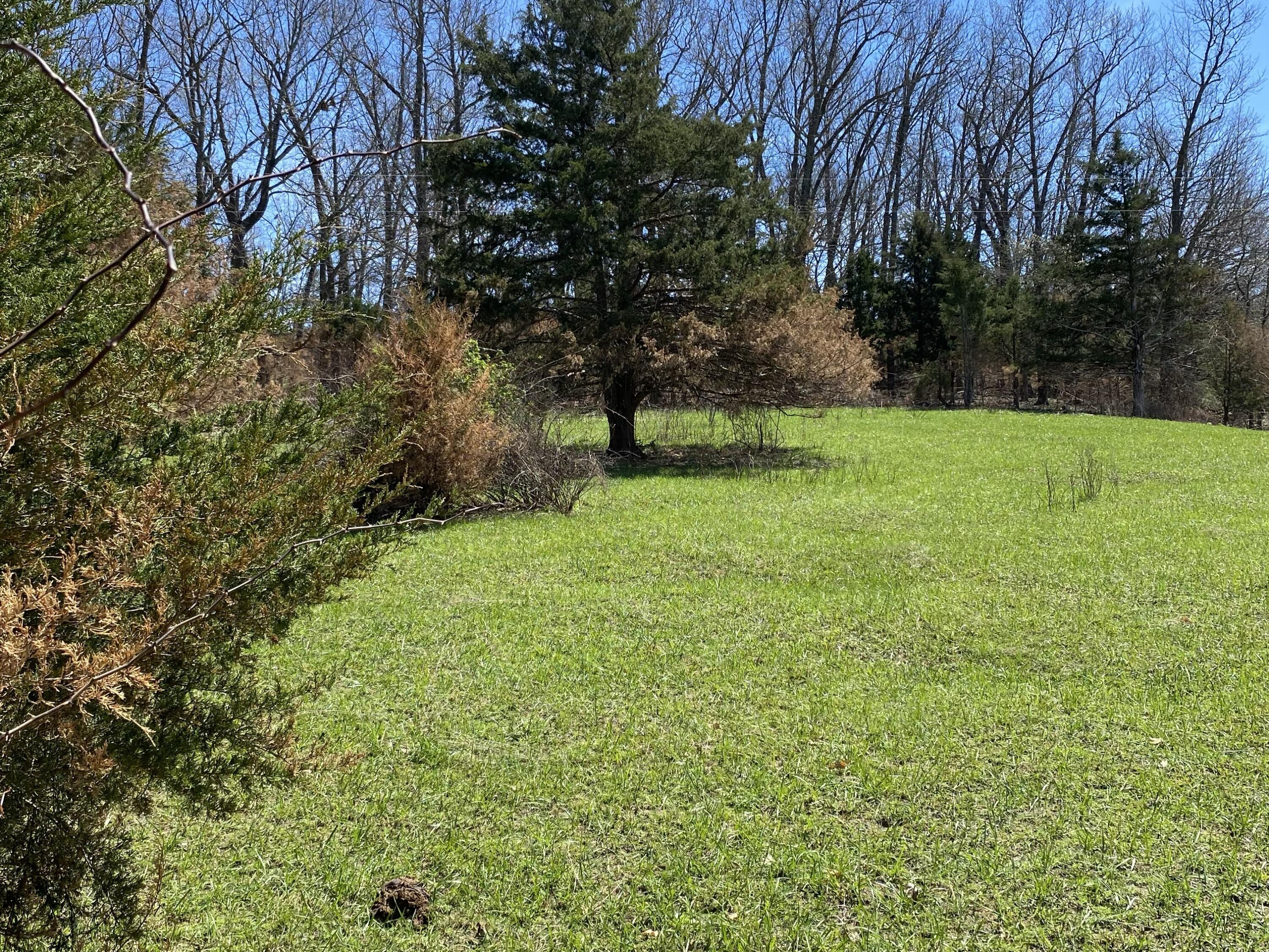 9290 Burton Branch Road Property Photo 71
