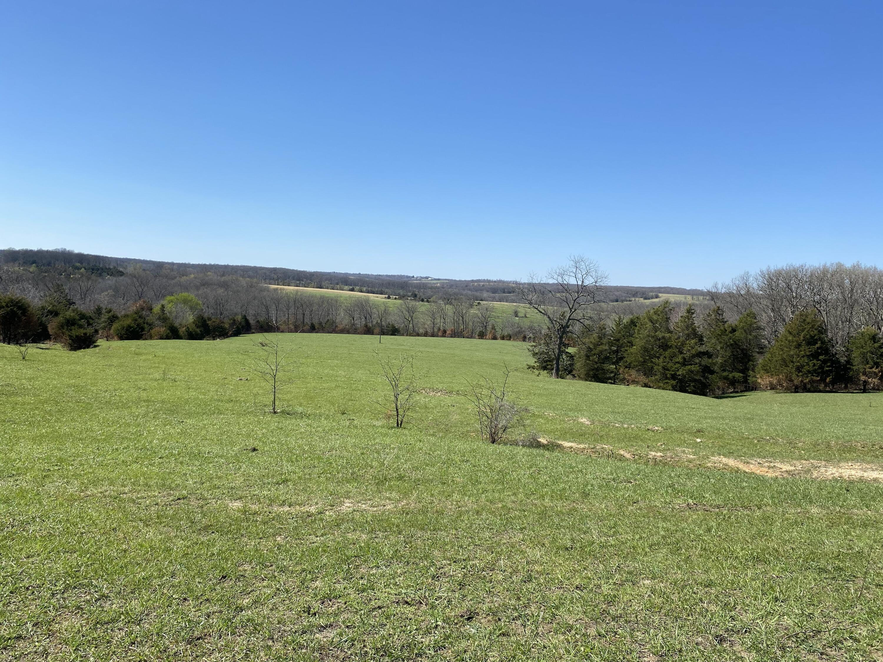 9290 Burton Branch Road Property Photo 75