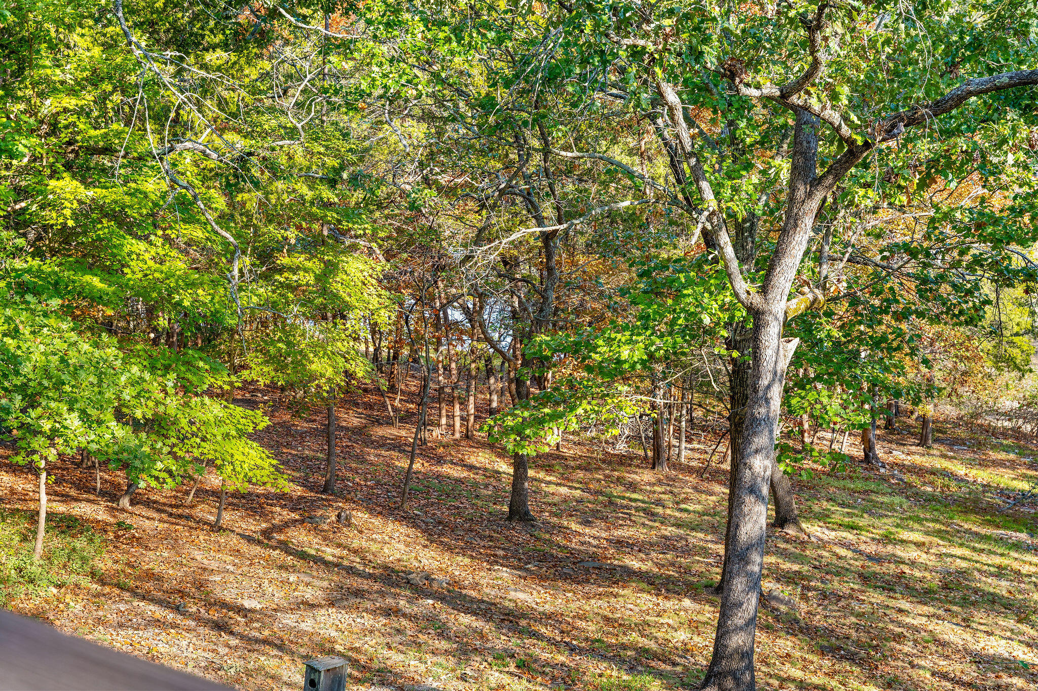 144 Santana Circle Property Photo 47