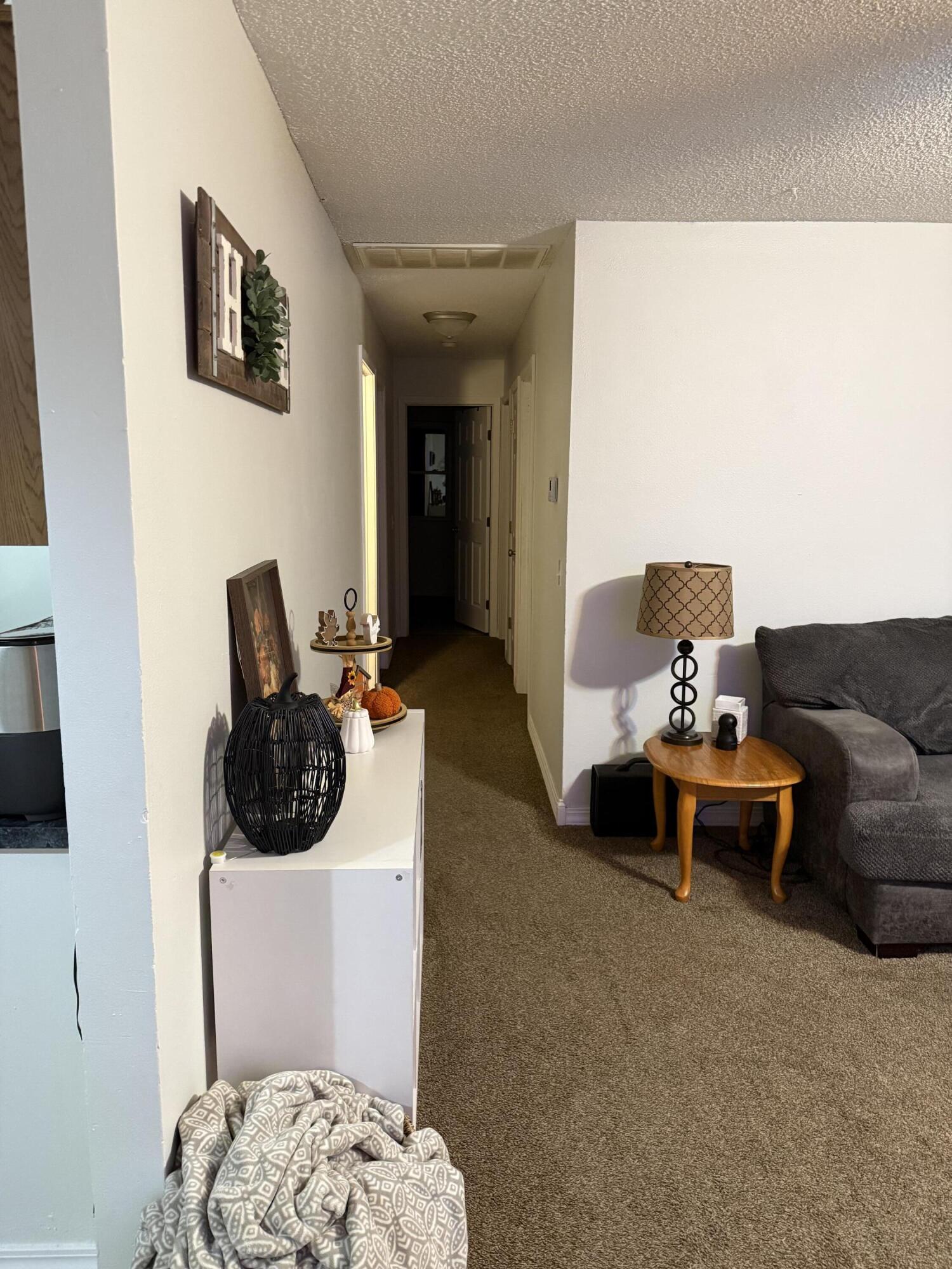 317 South Lyndall Street Property Photo 18