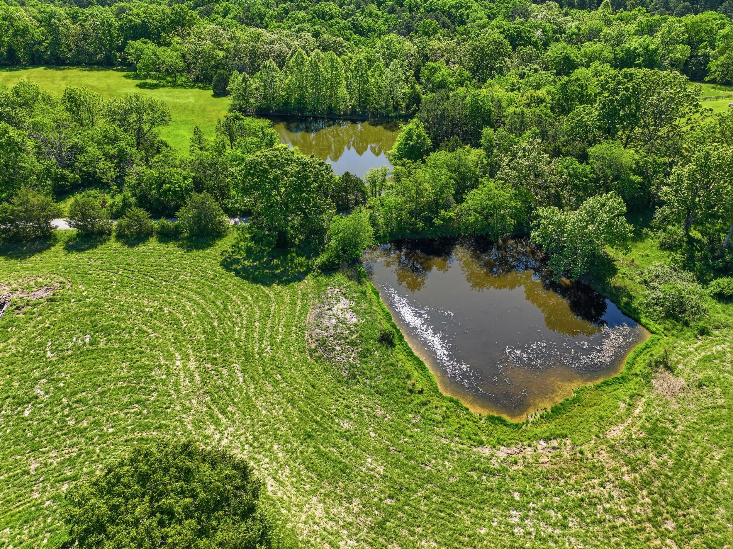 9290 Burton Branch Road Property Photo 53