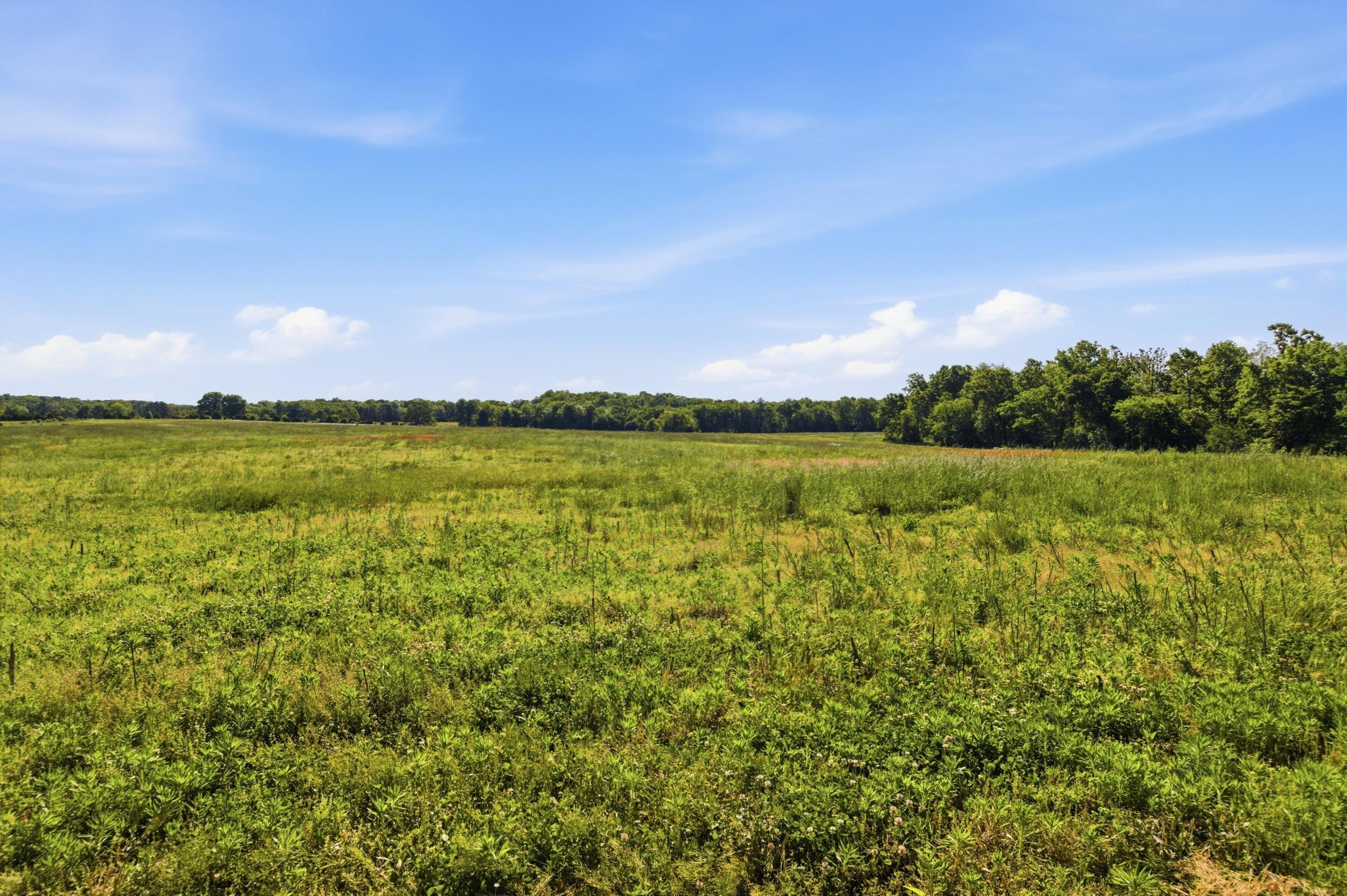 9290 Burton Branch Road Property Photo 59