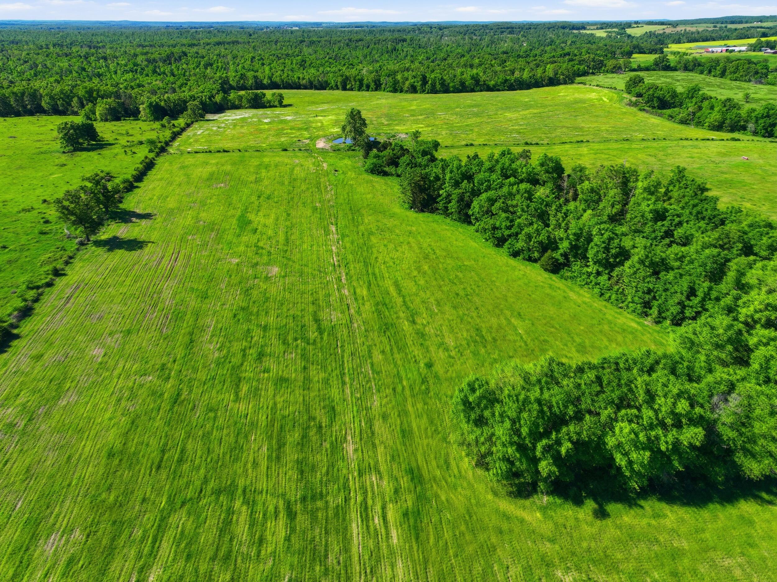 9290 Burton Branch Road Property Photo 73