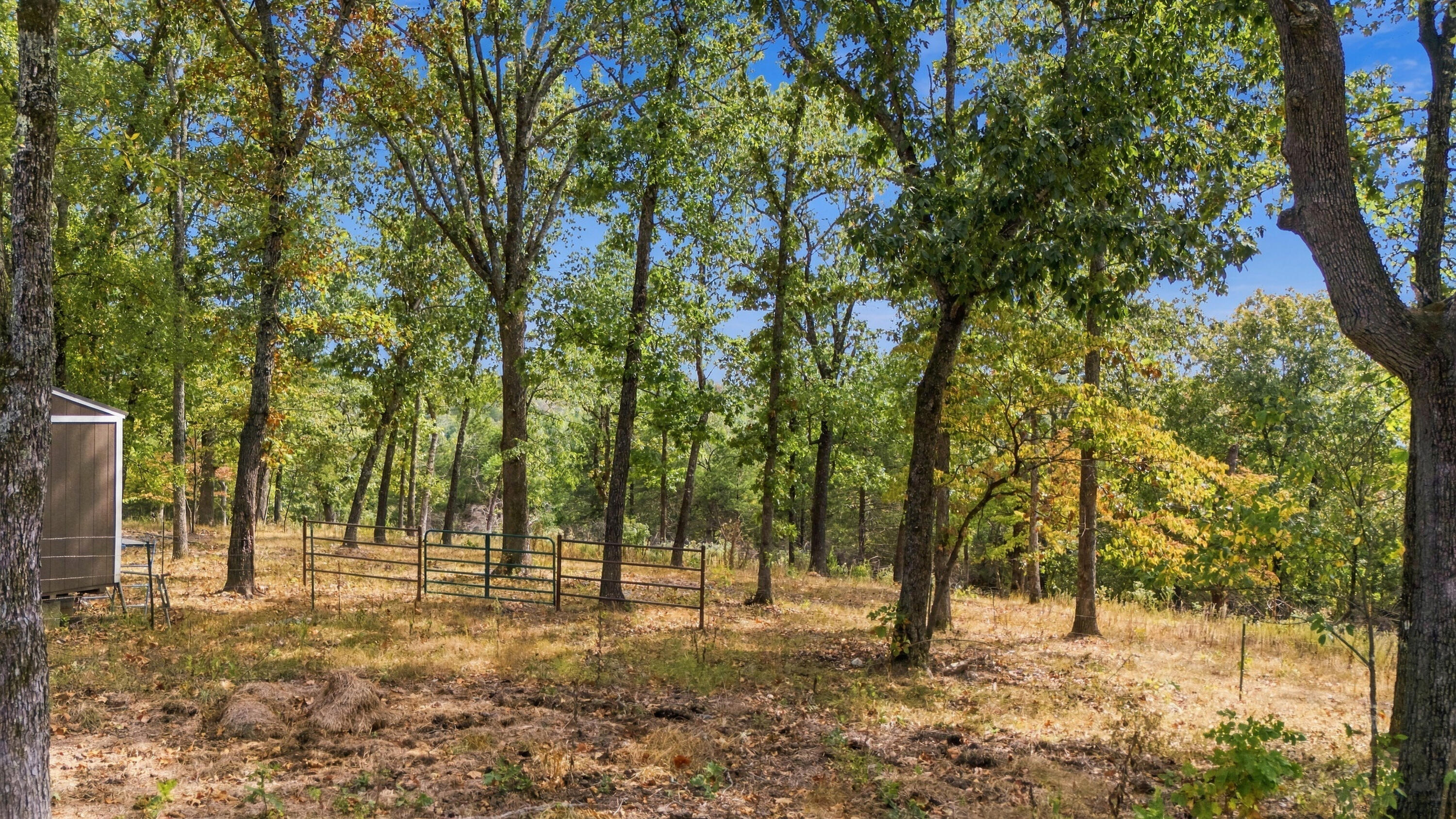 582 County Road 648 Property Photo 41