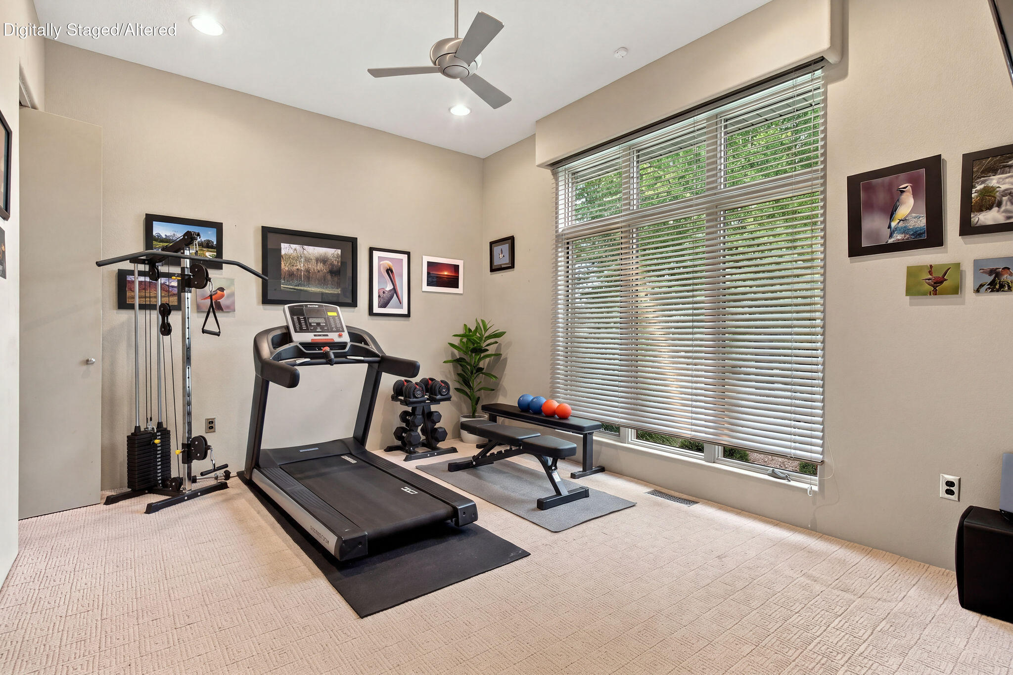 3971 East Glen Abbey Drive Property Photo 43
