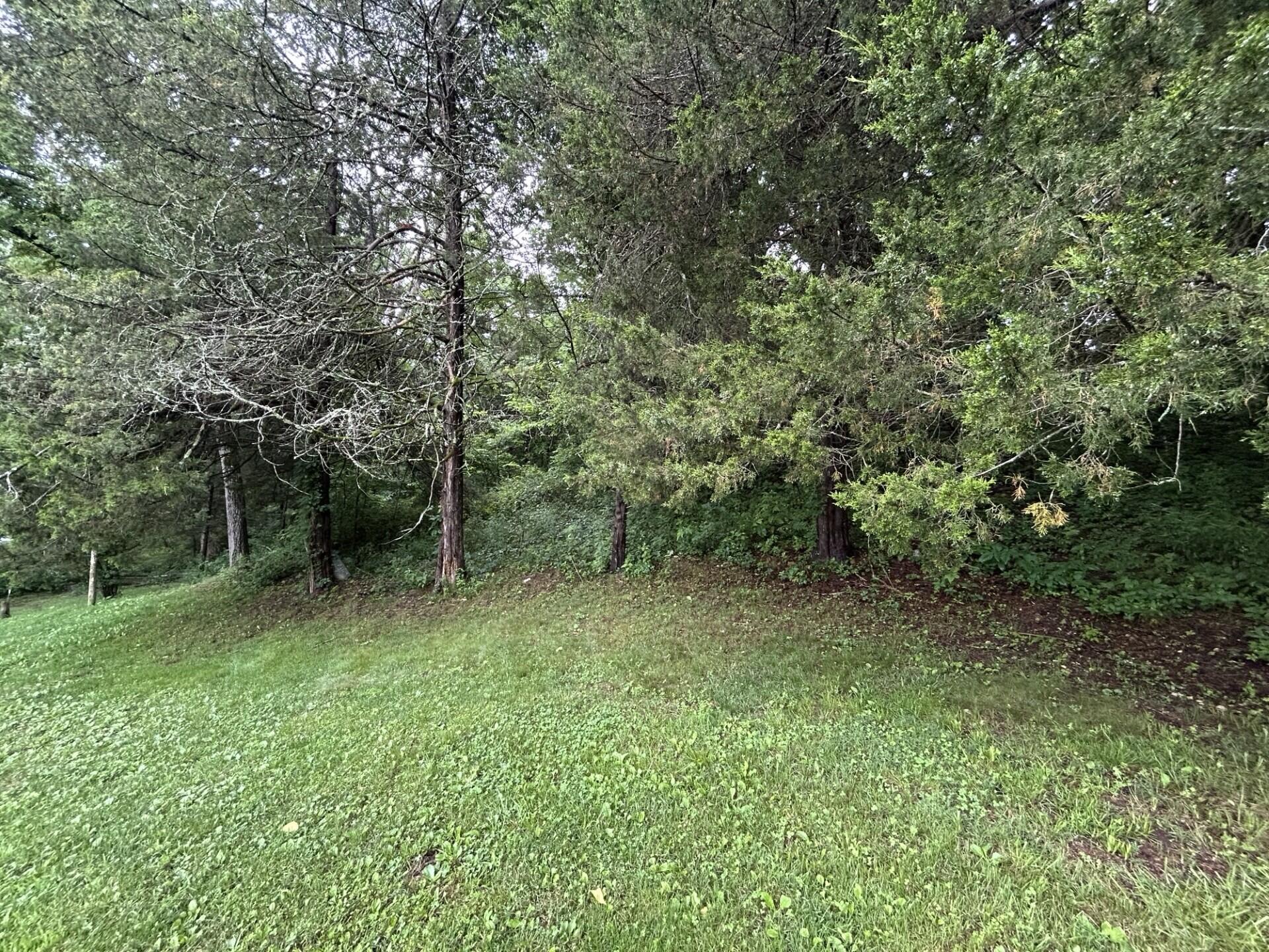 10751 Country Road Ak-541 Property Photo 25