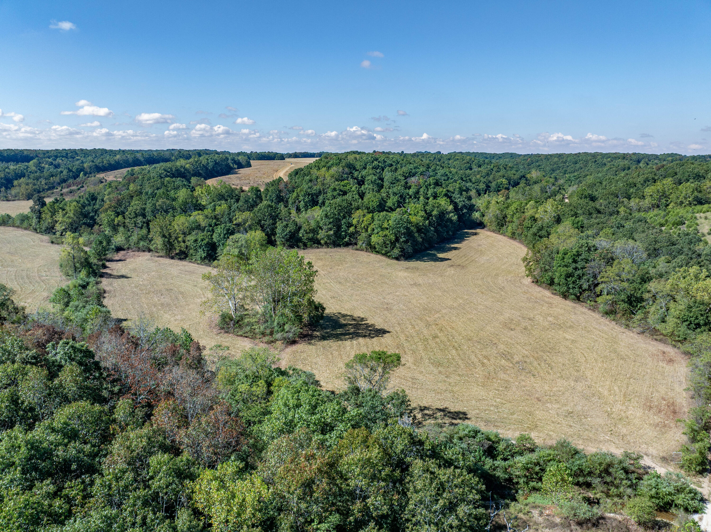 10455 N Highway Dd Property Photo 59