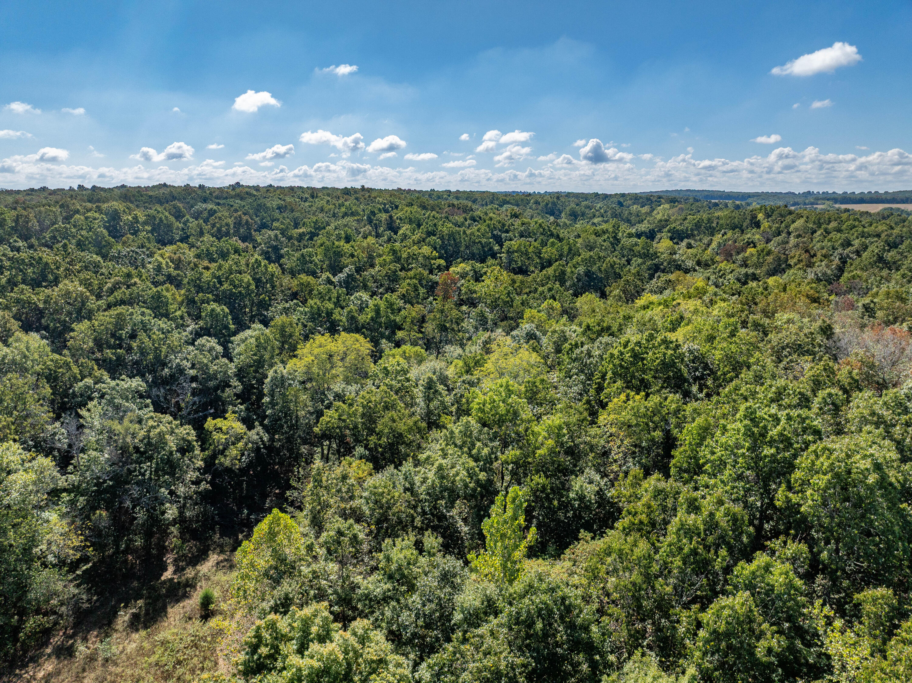 10455 N Highway Dd Property Photo 60