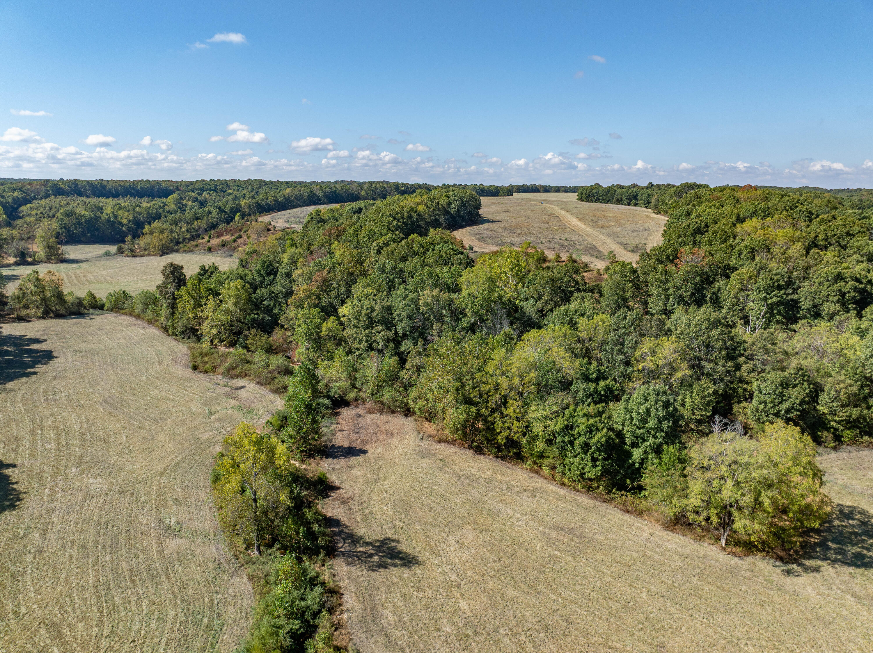 10455 N Highway Dd Property Photo 61