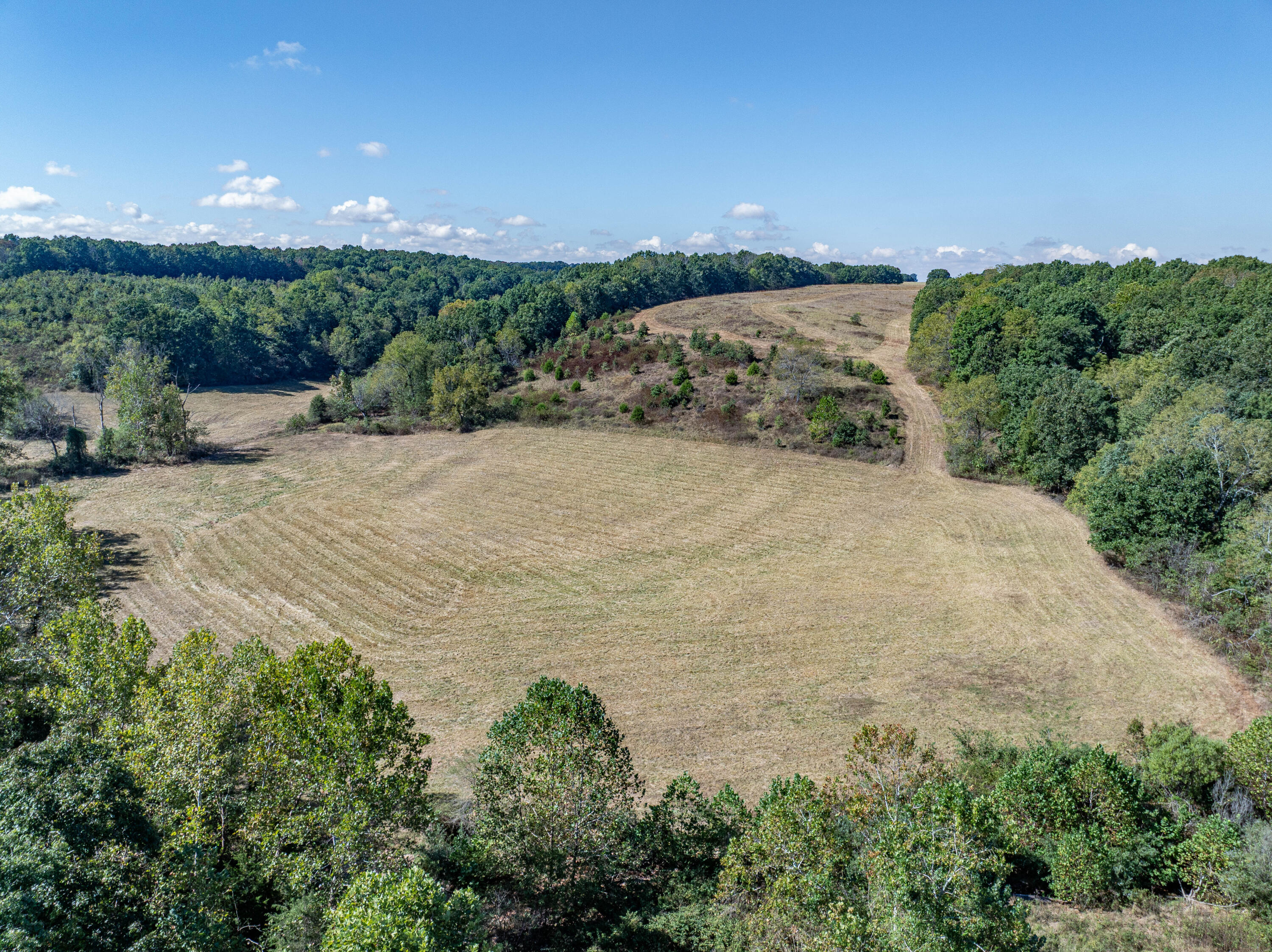 10455 N Highway Dd Property Photo 62