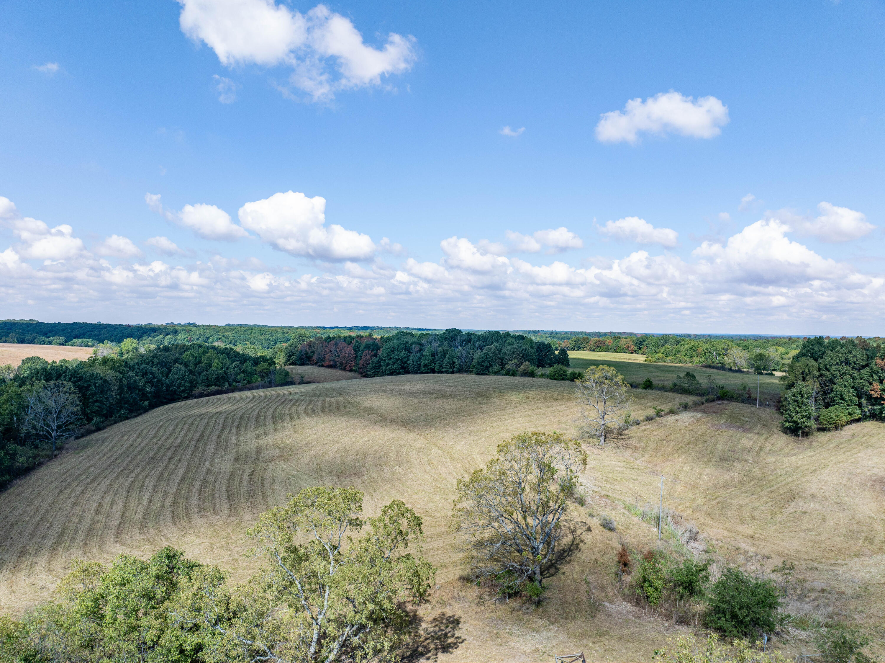 10455 N Highway Dd Property Photo 67