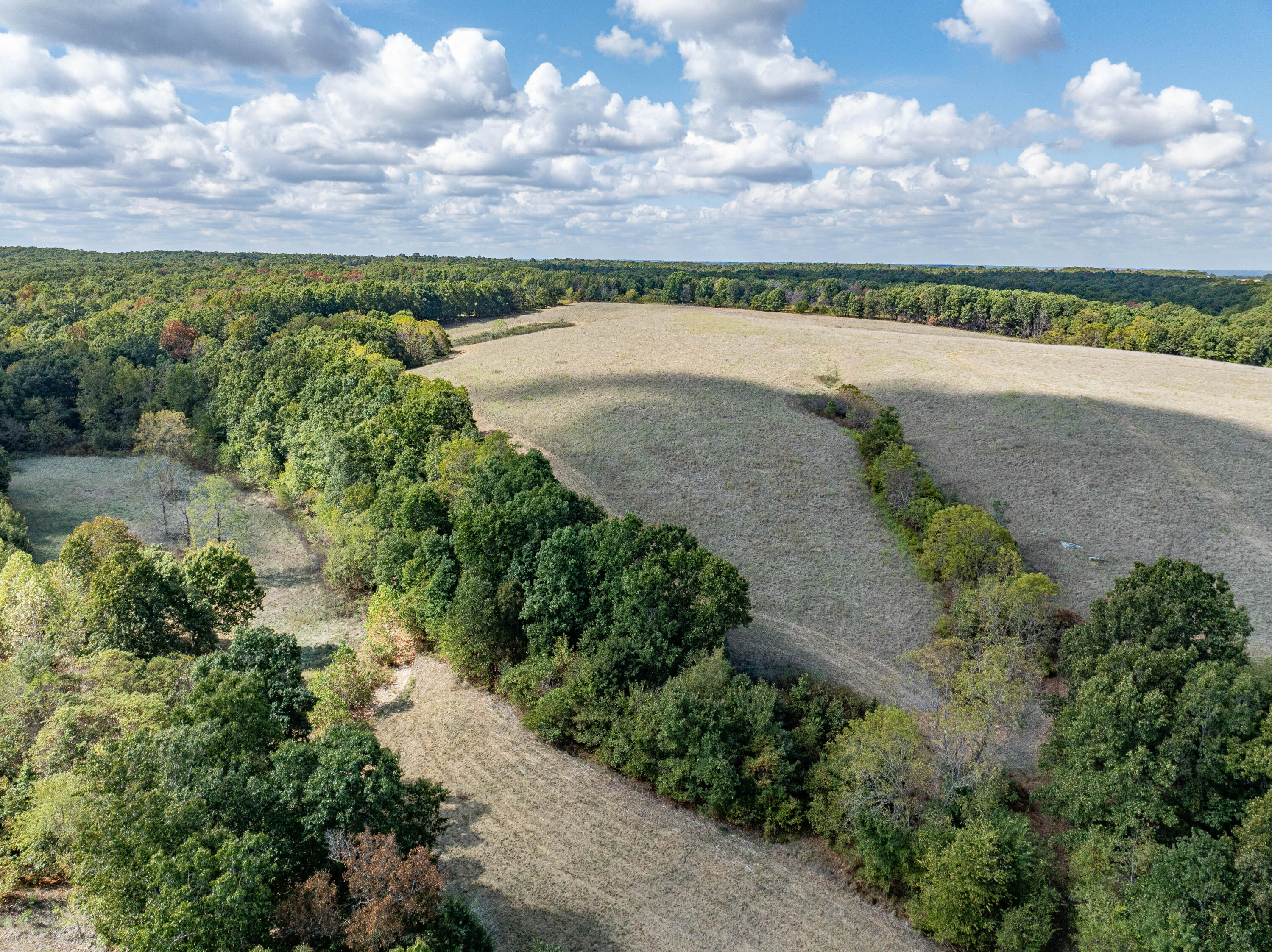10455 N Highway Dd Property Photo 68