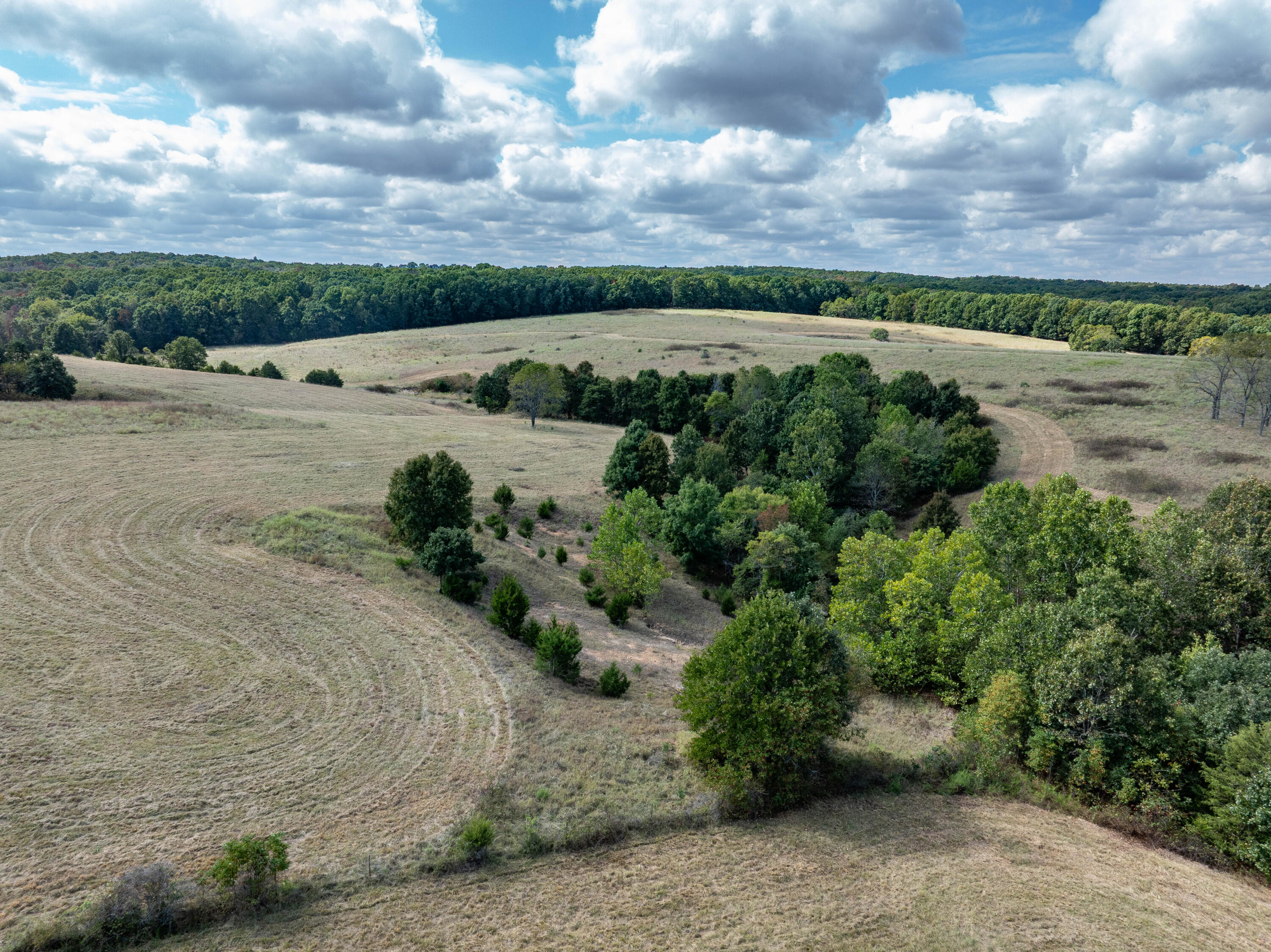 10455 N Highway Dd Property Photo 71