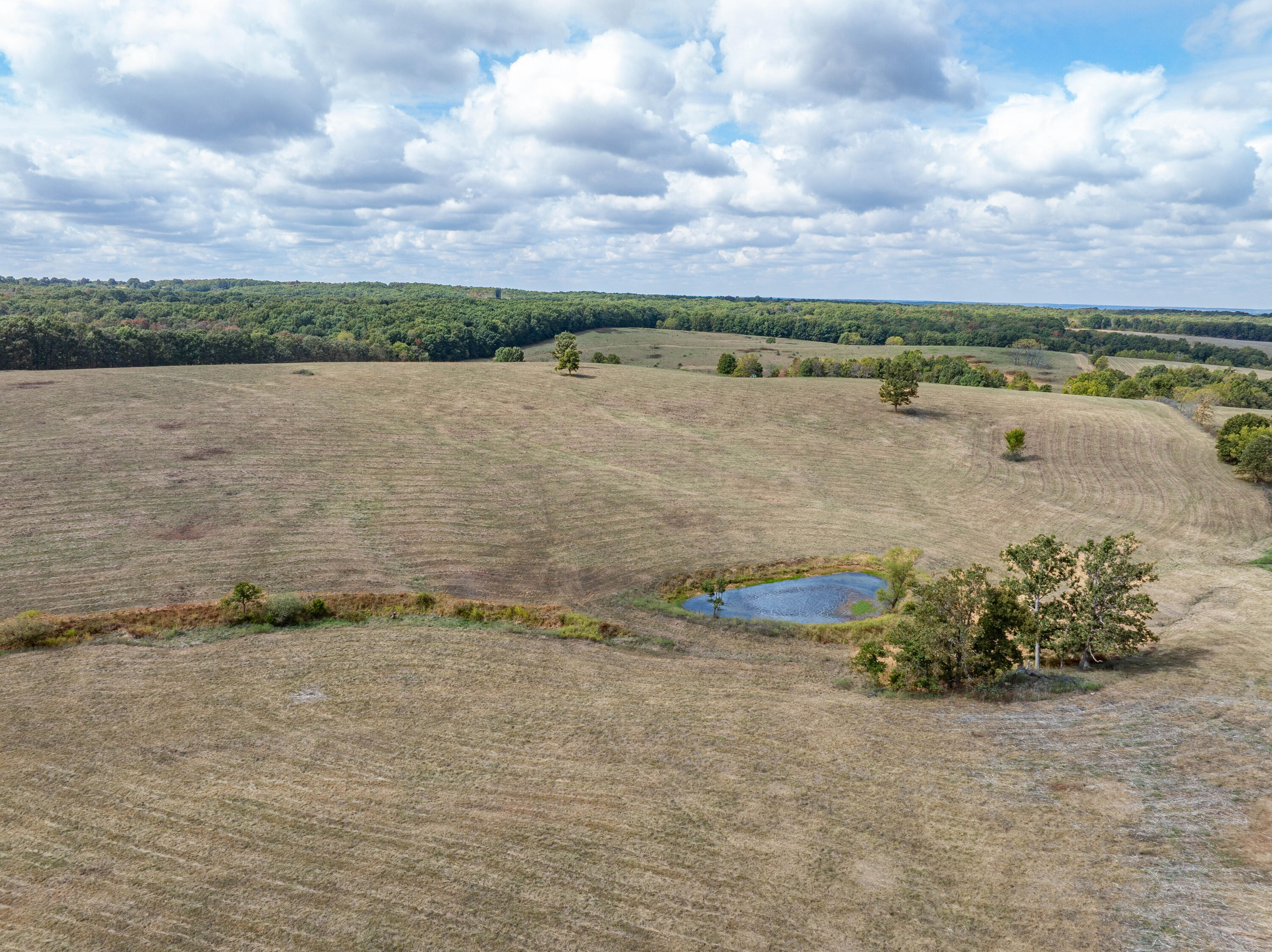 10455 N Highway Dd Property Photo 77