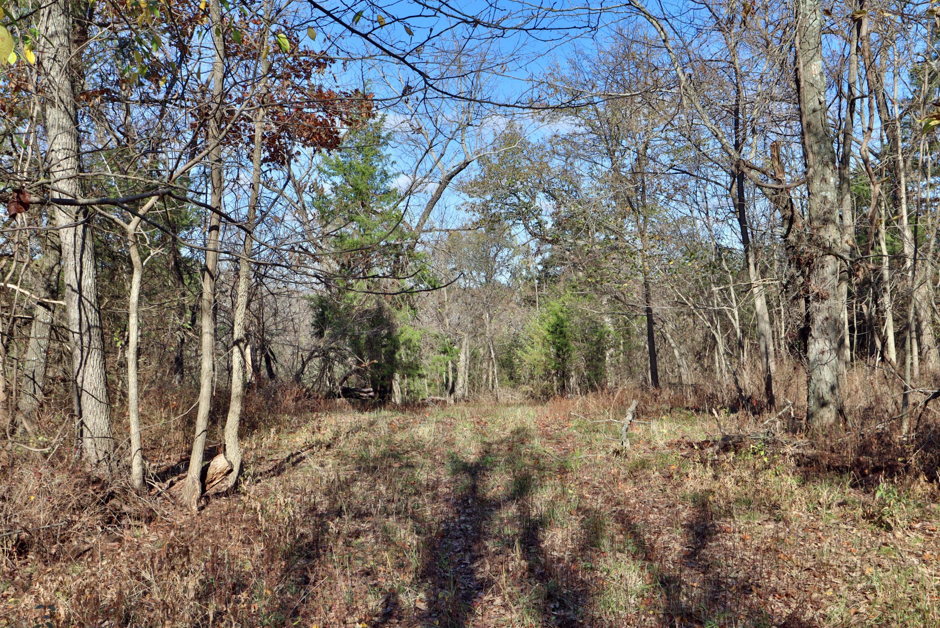 000 West State Highway U Property Photo 6