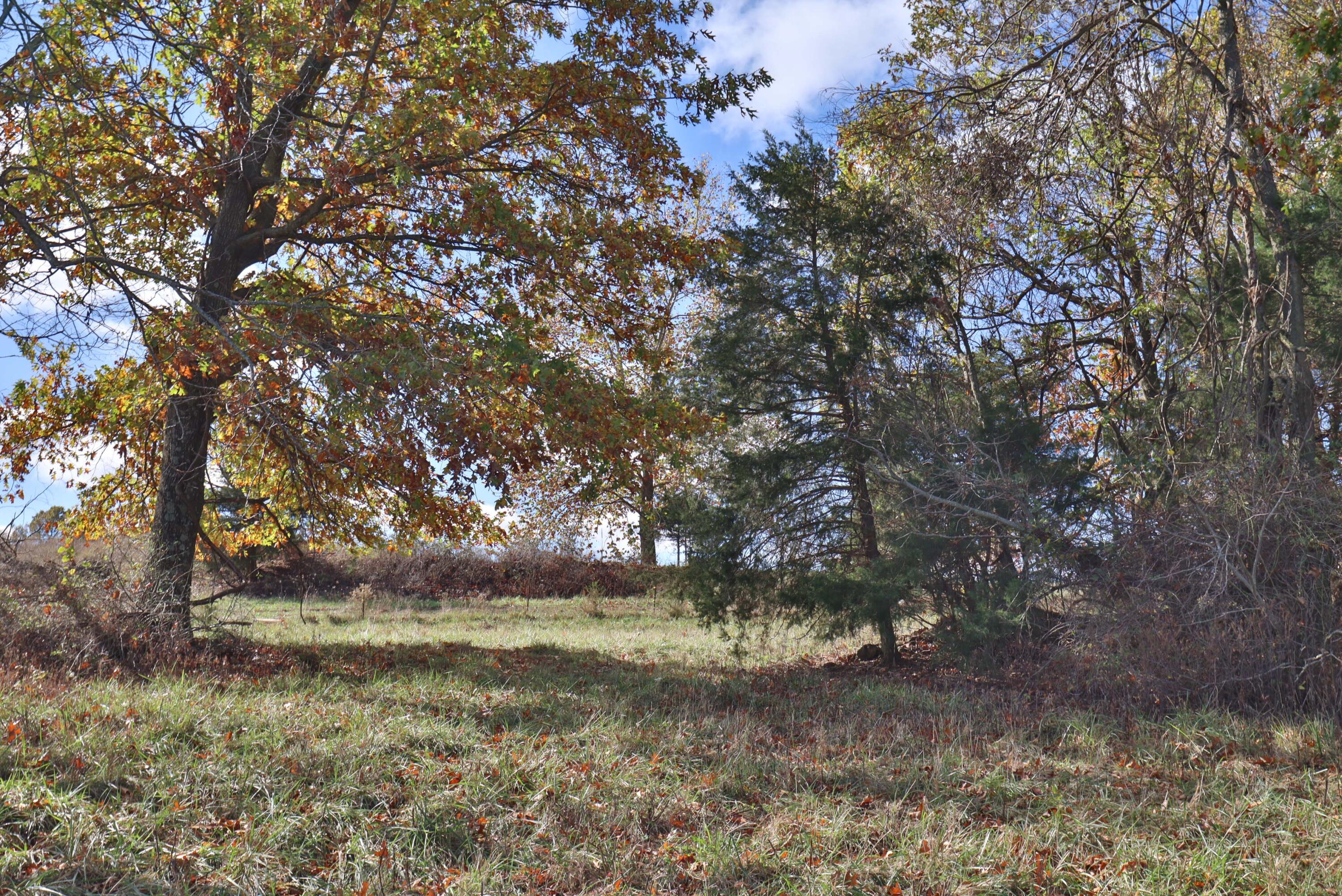 000 West State Highway U Property Photo 9