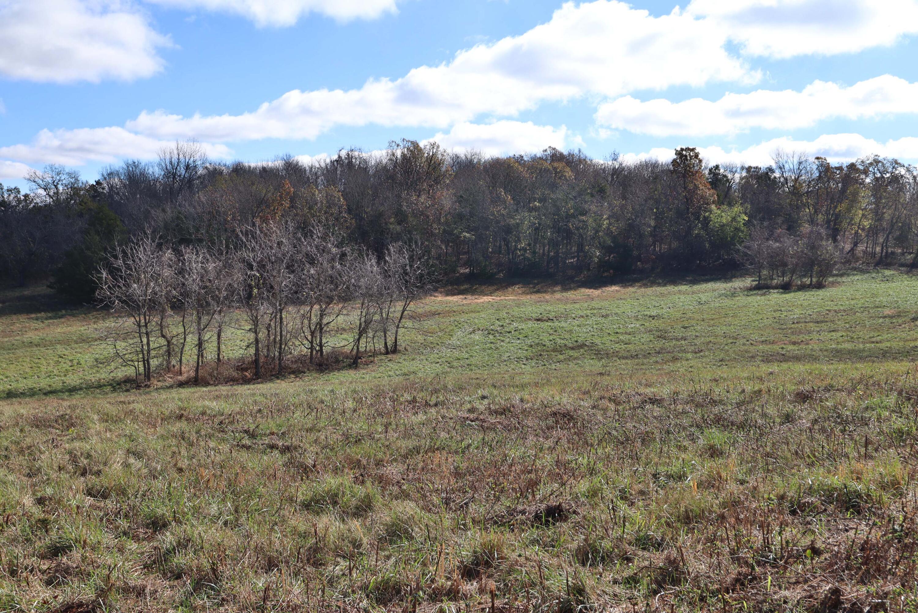 000 West State Highway U Property Photo 11