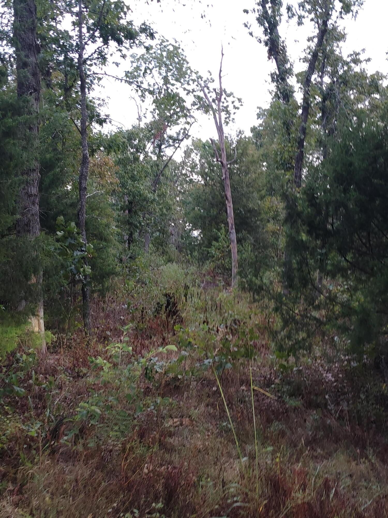 30001 State Highway Hh Property Photo 13