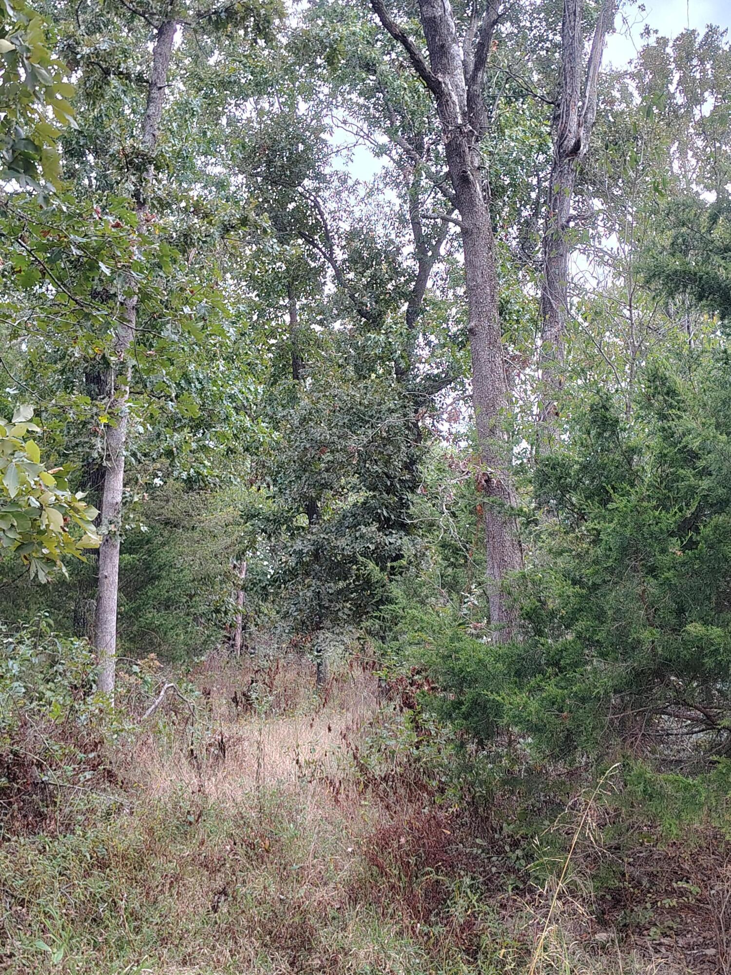 30001 State Highway Hh Property Photo 14