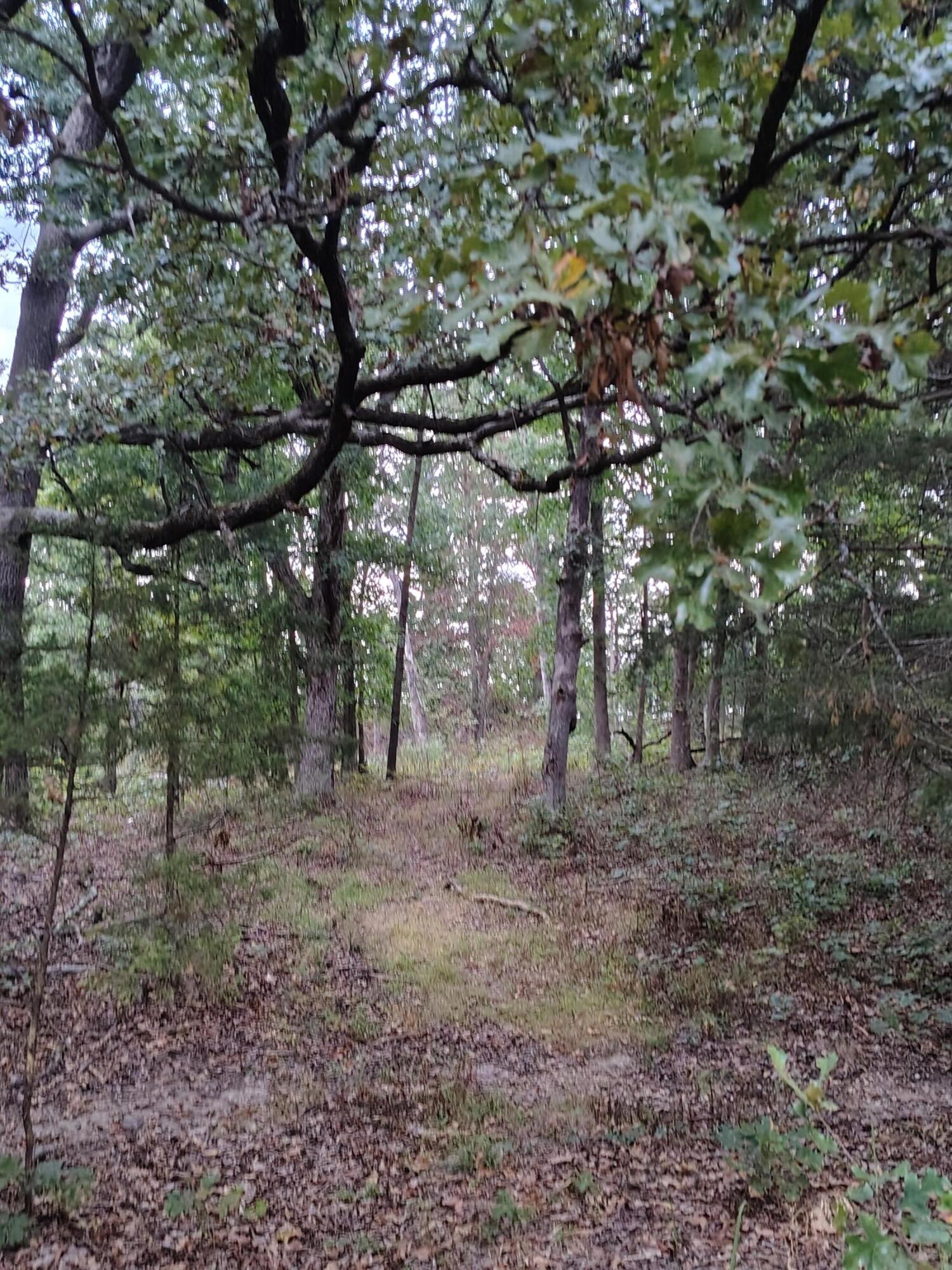 30001 State Highway Hh Property Photo 15