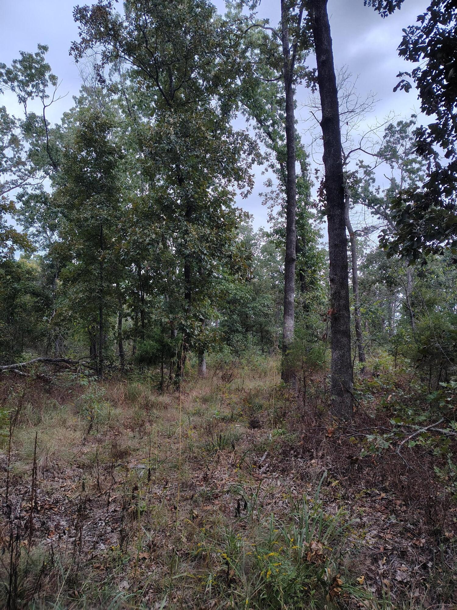 30001 State Highway Hh Property Photo 17