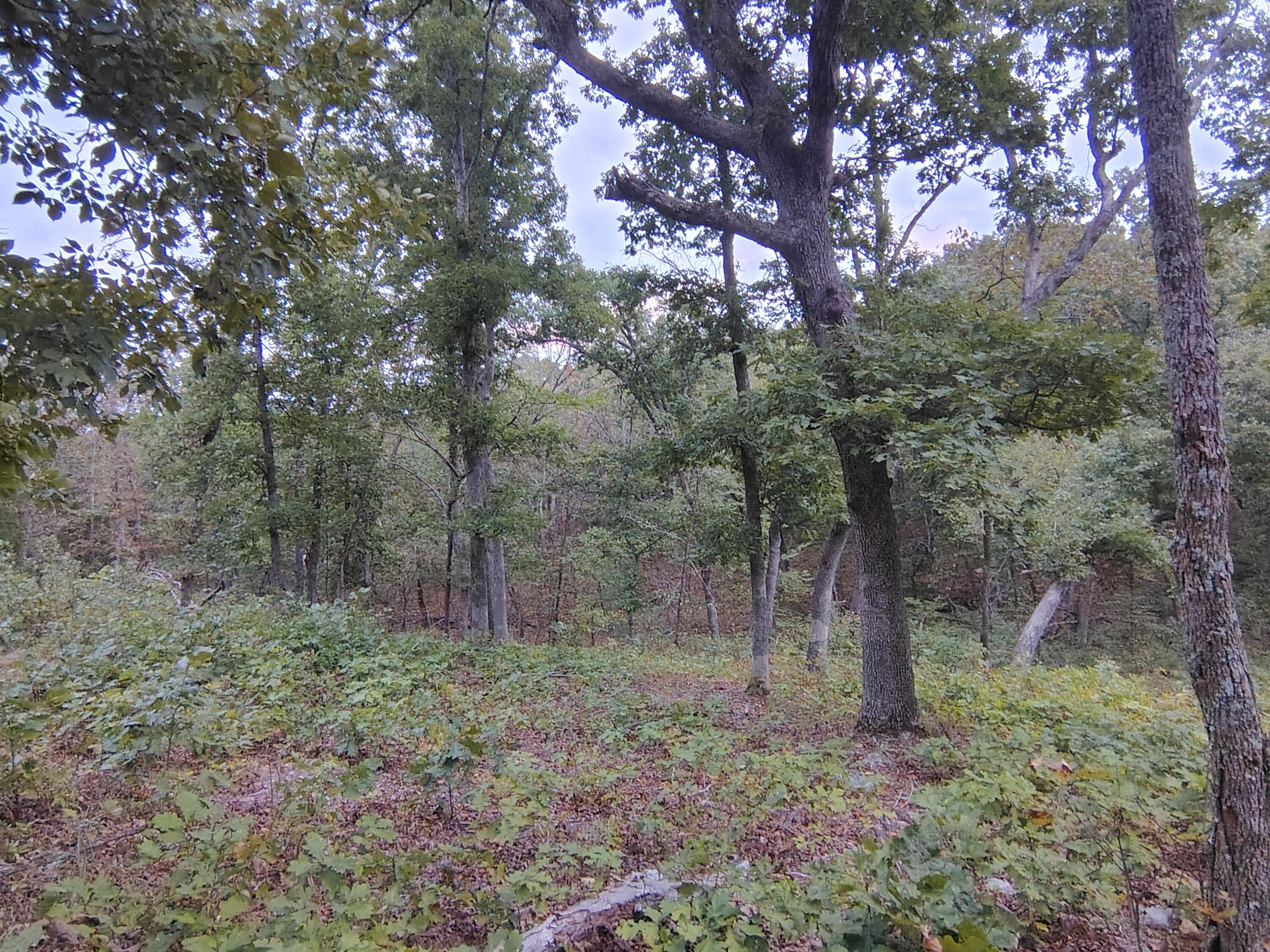 30001 State Highway Hh Property Photo 20