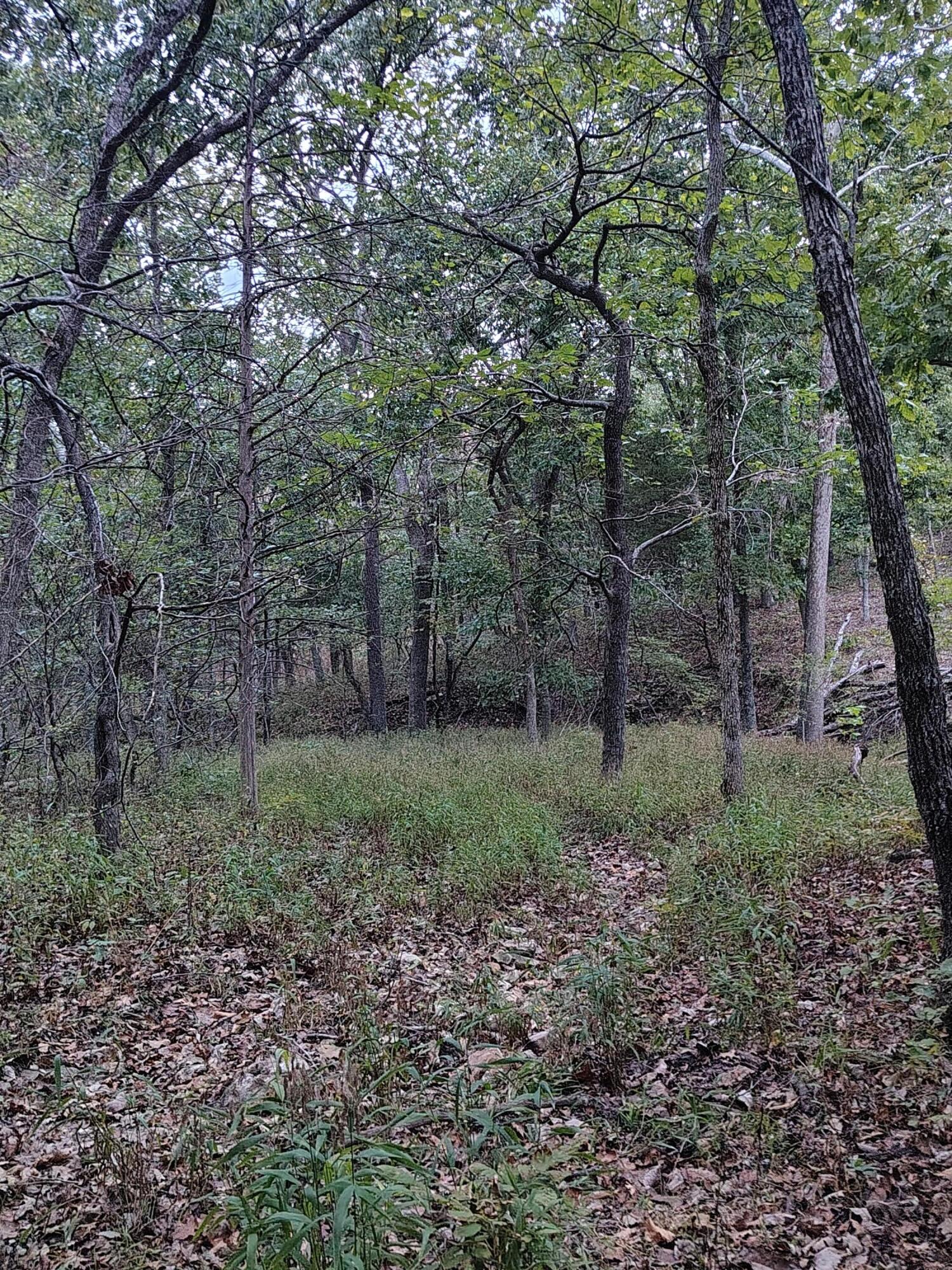 30001 State Highway Hh Property Photo 21