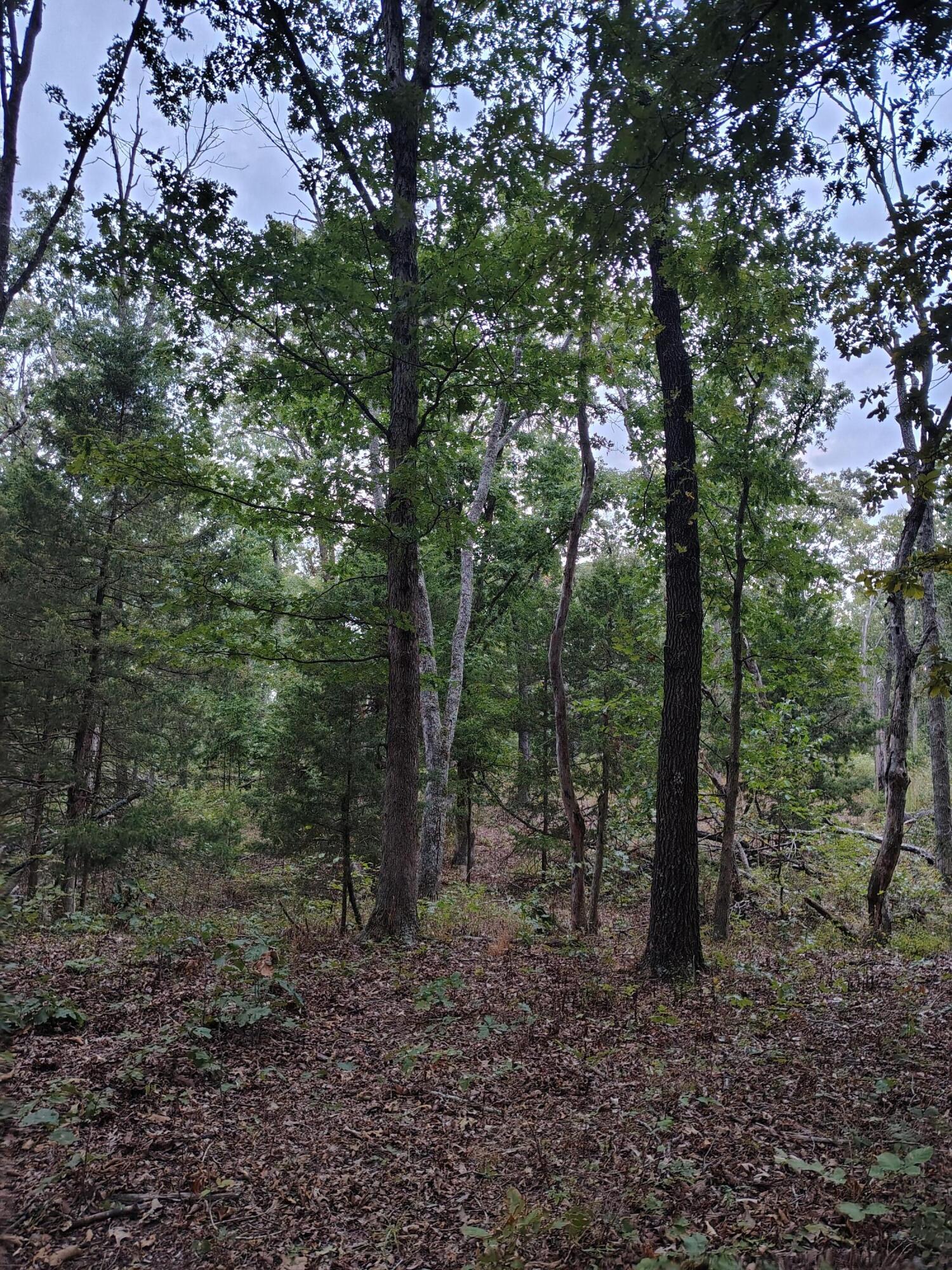 30001 State Highway Hh Property Photo 15