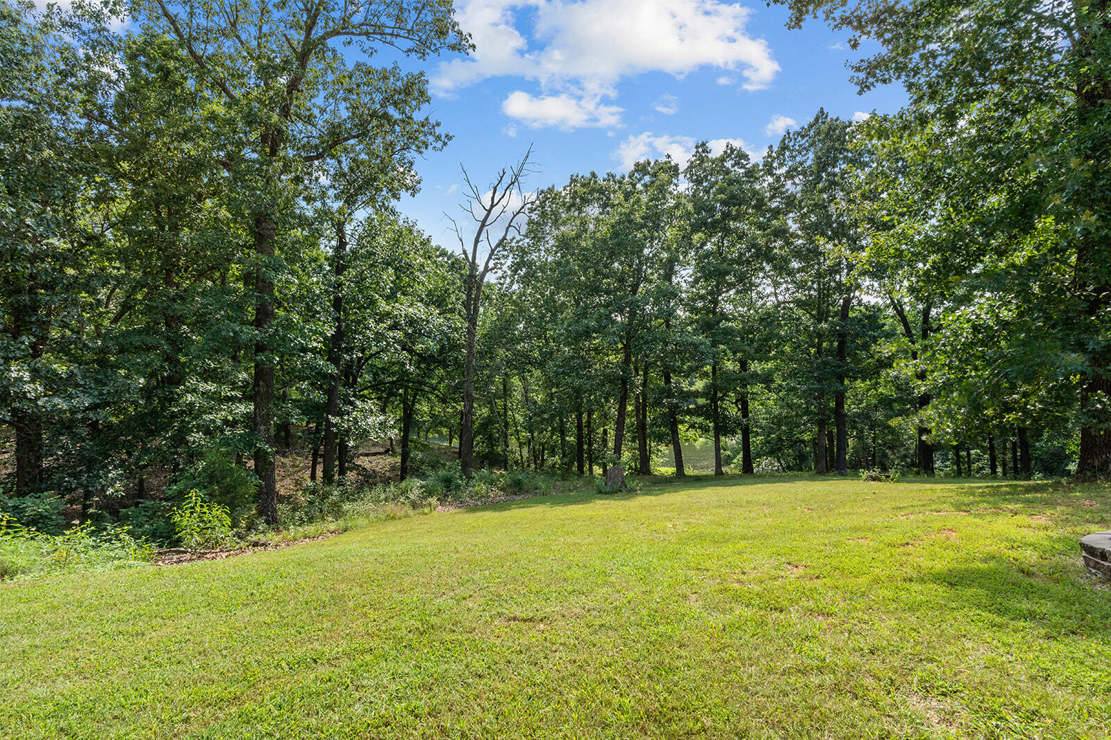300 Buena Vista Parkway Property Photo 59