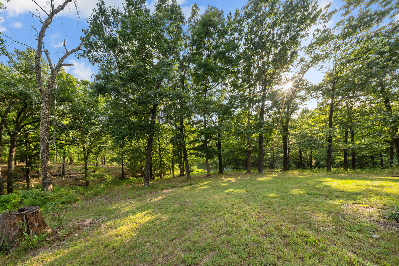 300 Buena Vista Parkway Property Photo 60