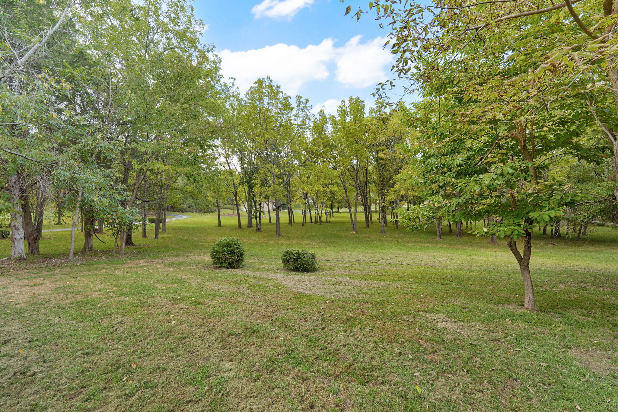 788 Rene Road Property Photo 87
