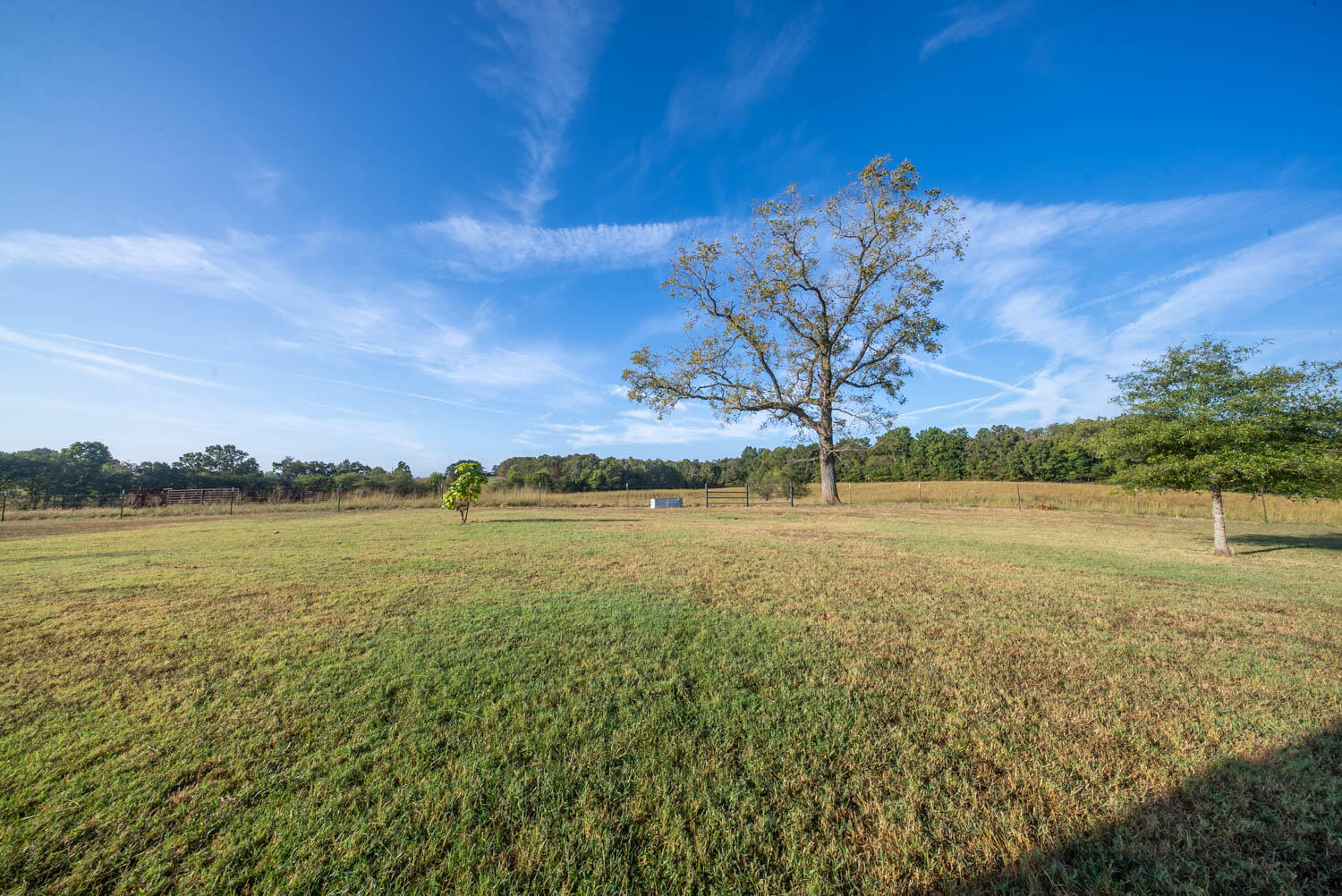 1387 County Road 201 Property Photo 64