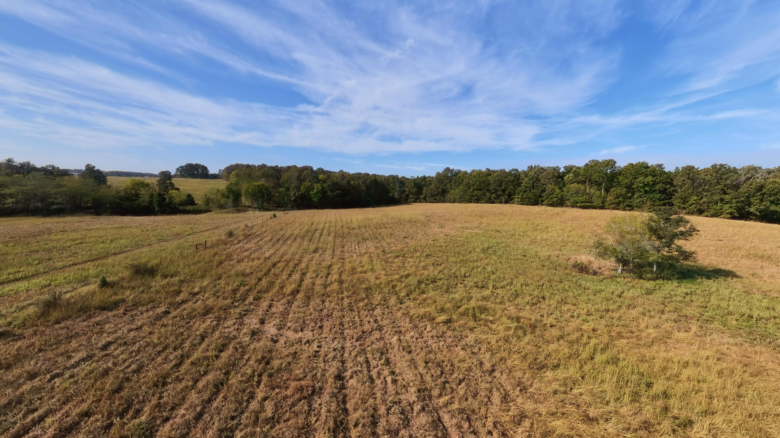 1387 County Road 201 Property Photo 66