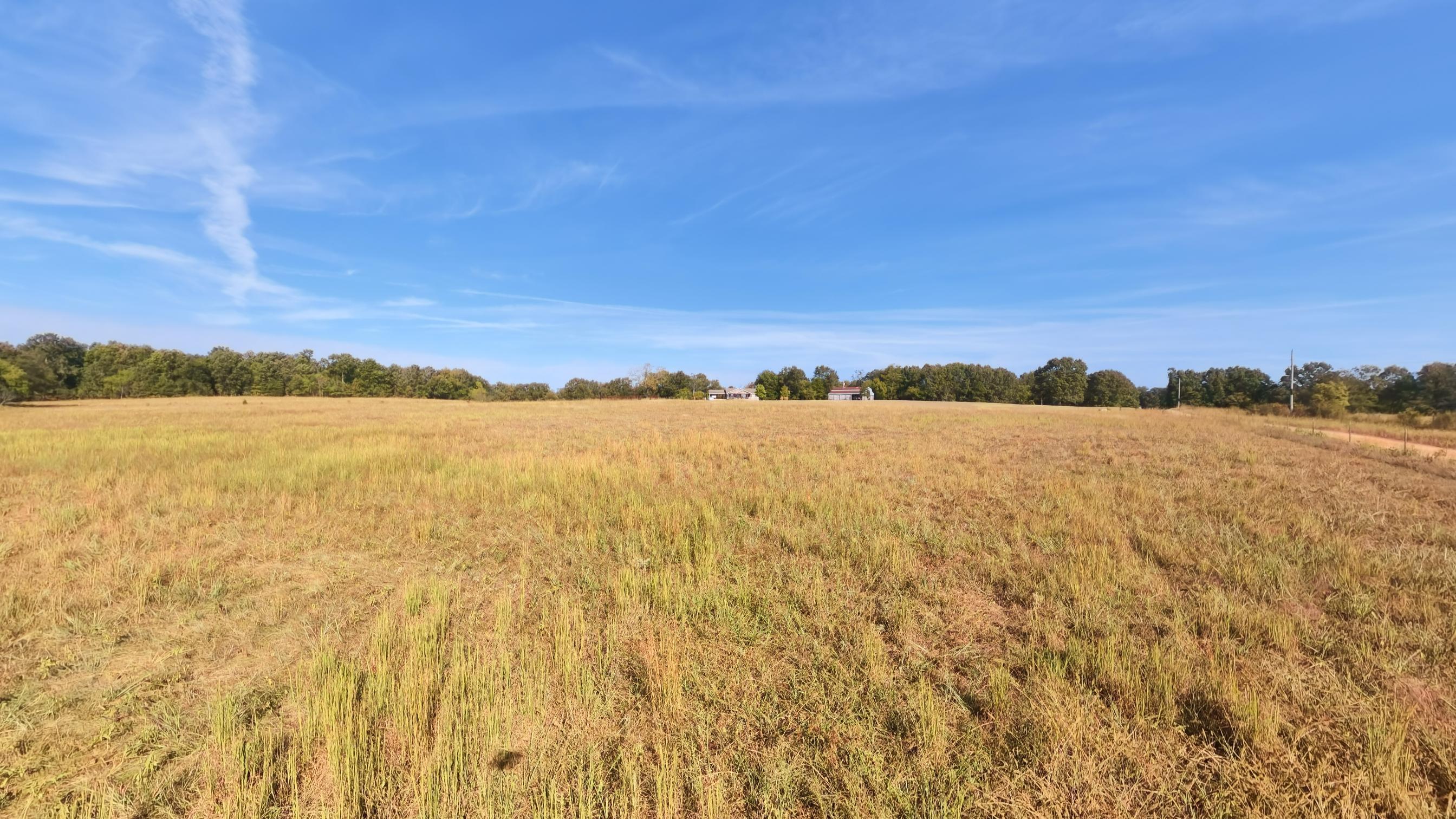 1387 County Road 201 Property Photo 76