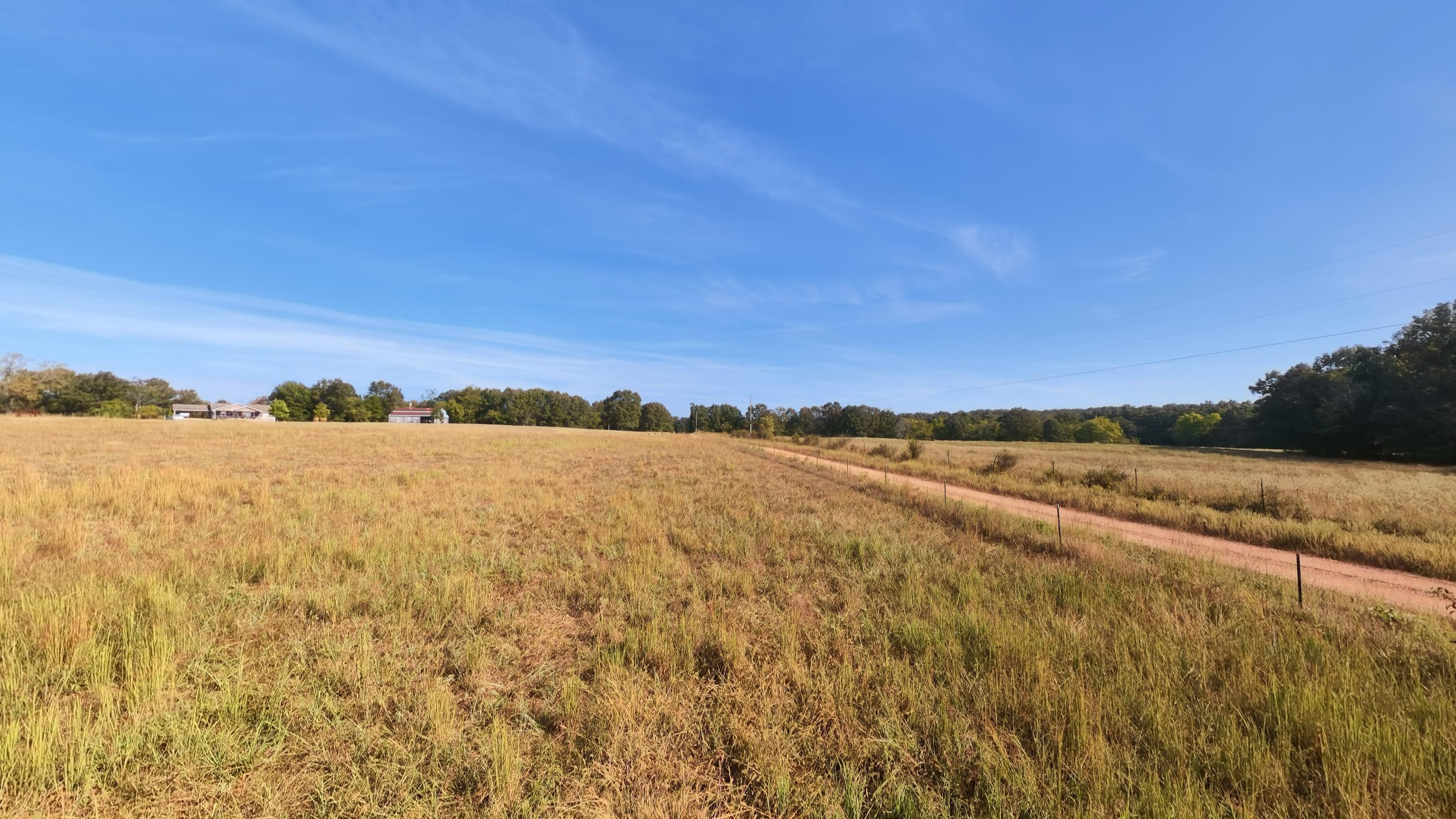 1387 County Road 201 Property Photo 77