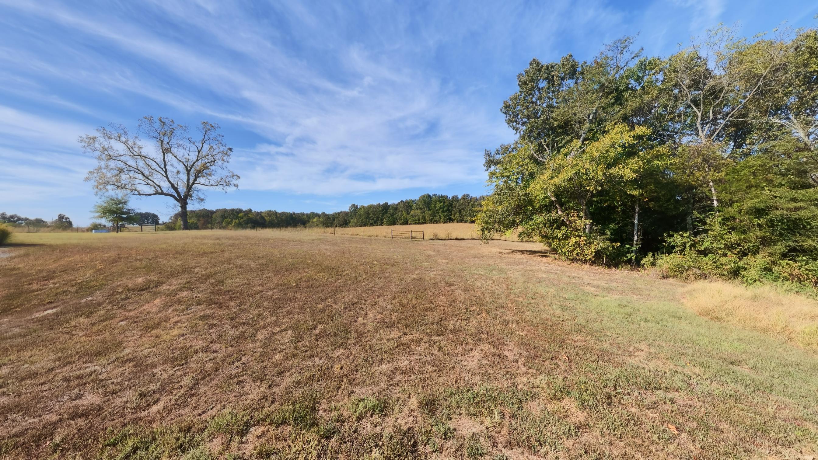 1387 County Road 201 Property Photo 80