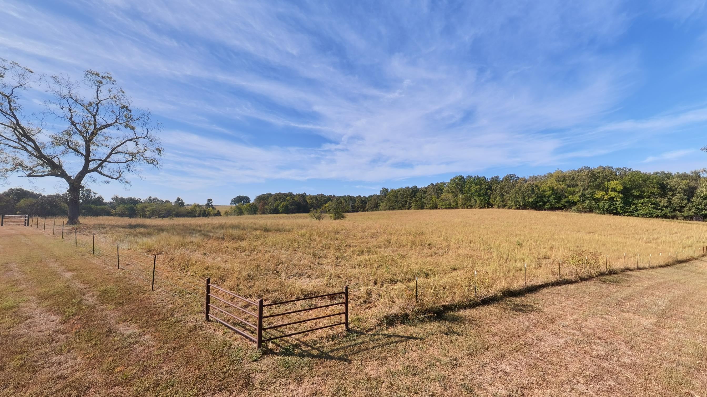 1387 County Road 201 Property Photo 81
