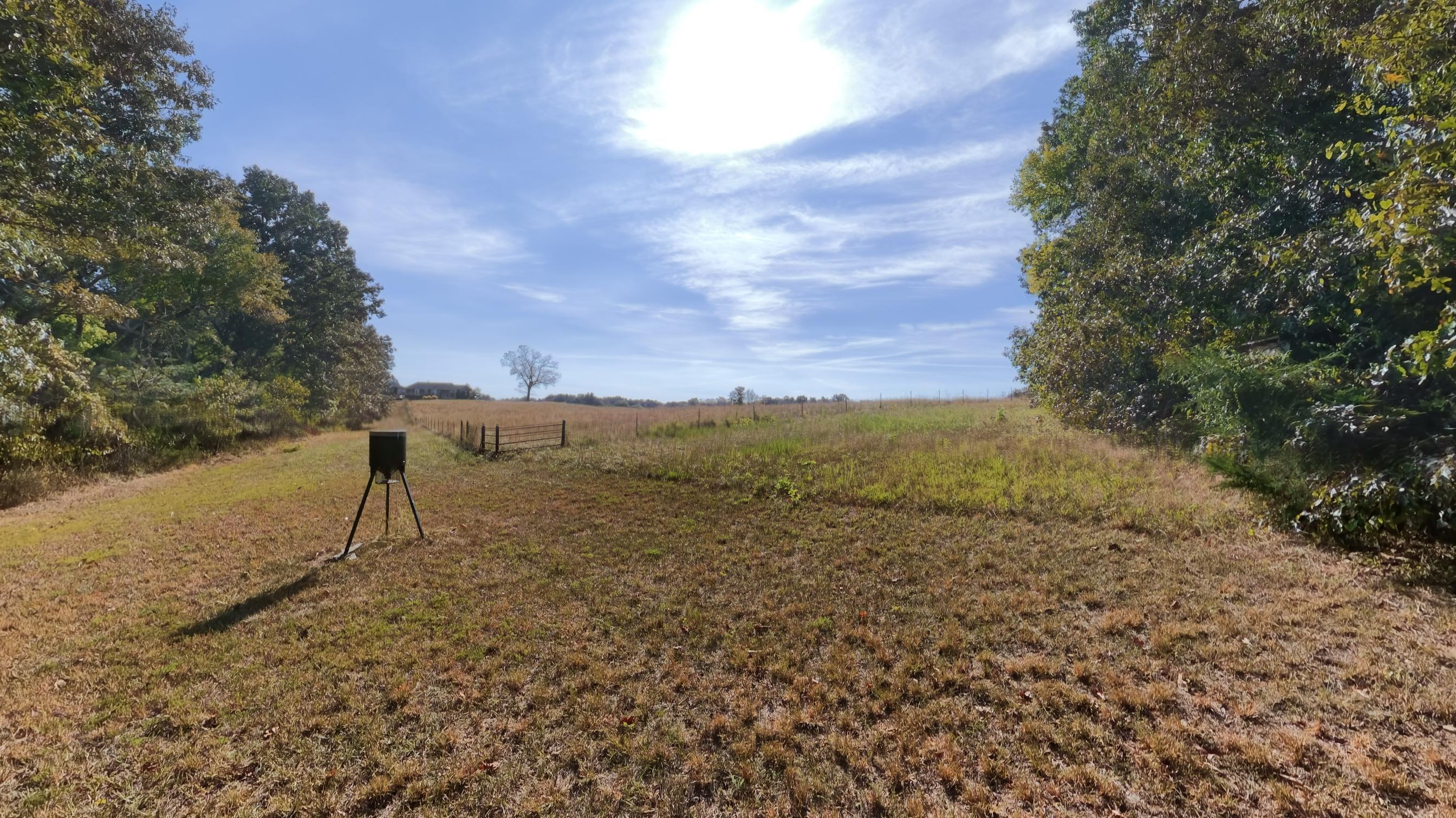 1387 County Road 201 Property Photo 83