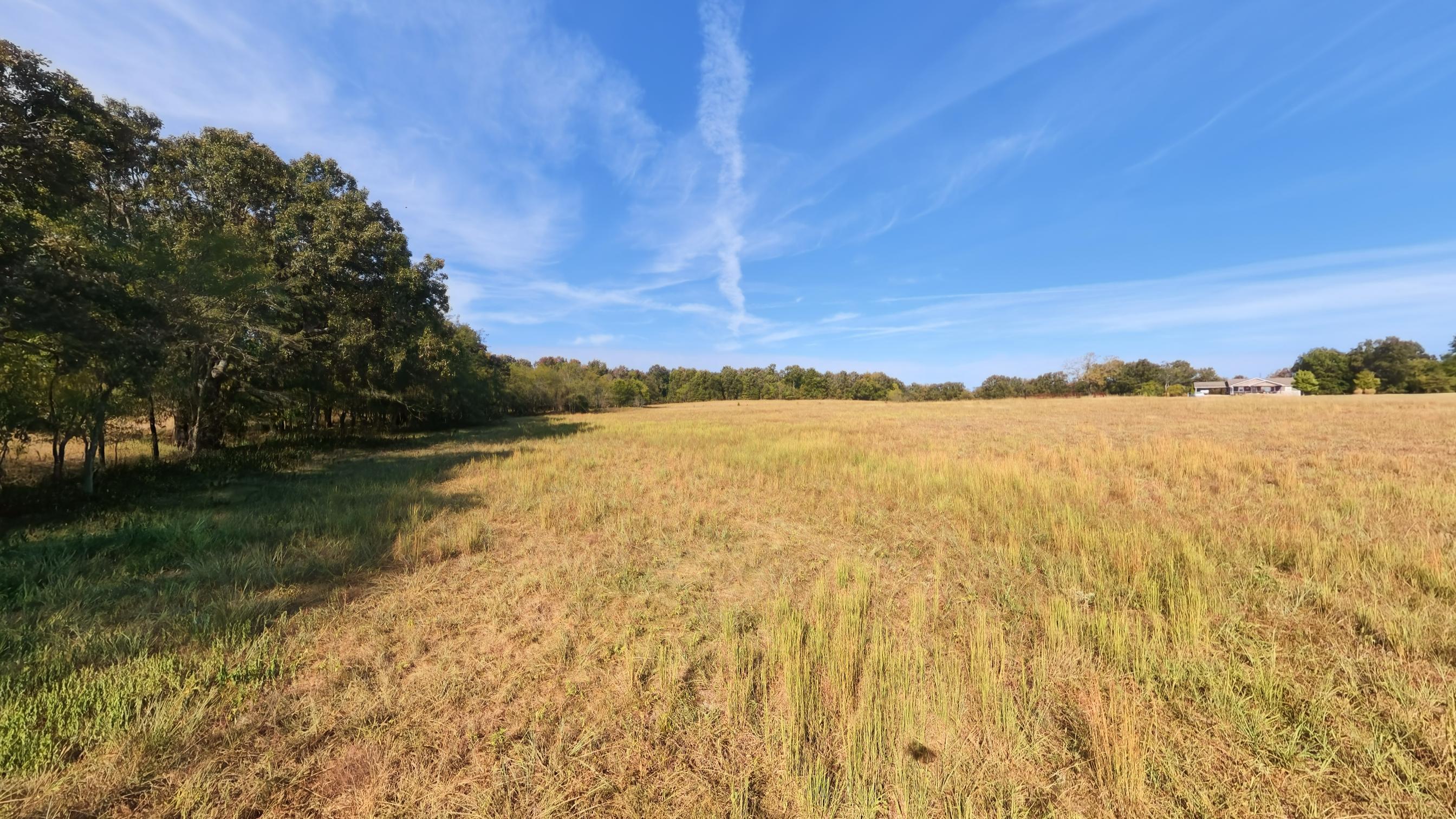 1387 County Road 201 Property Photo 90