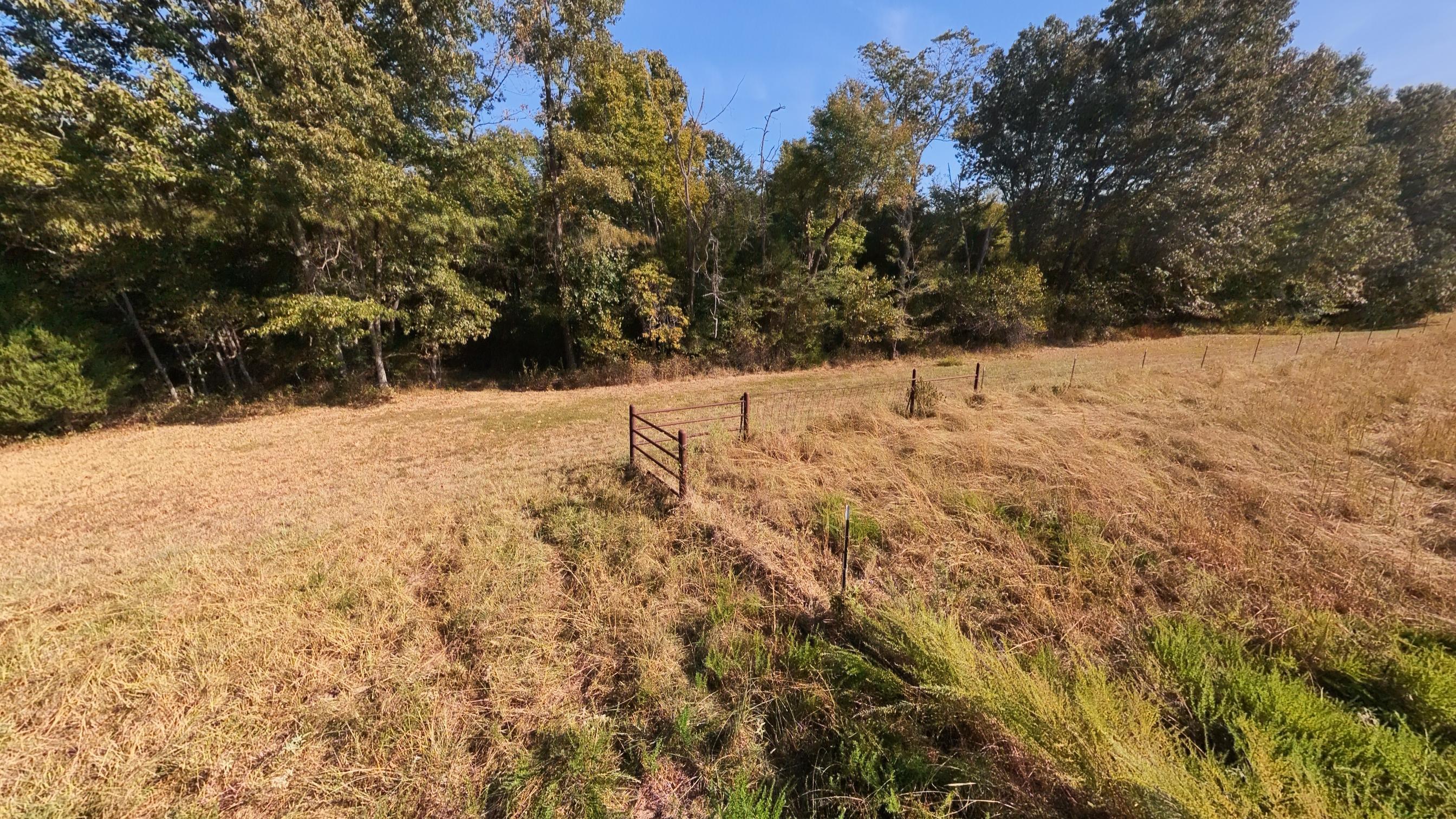 1387 County Road 201 Property Photo 95