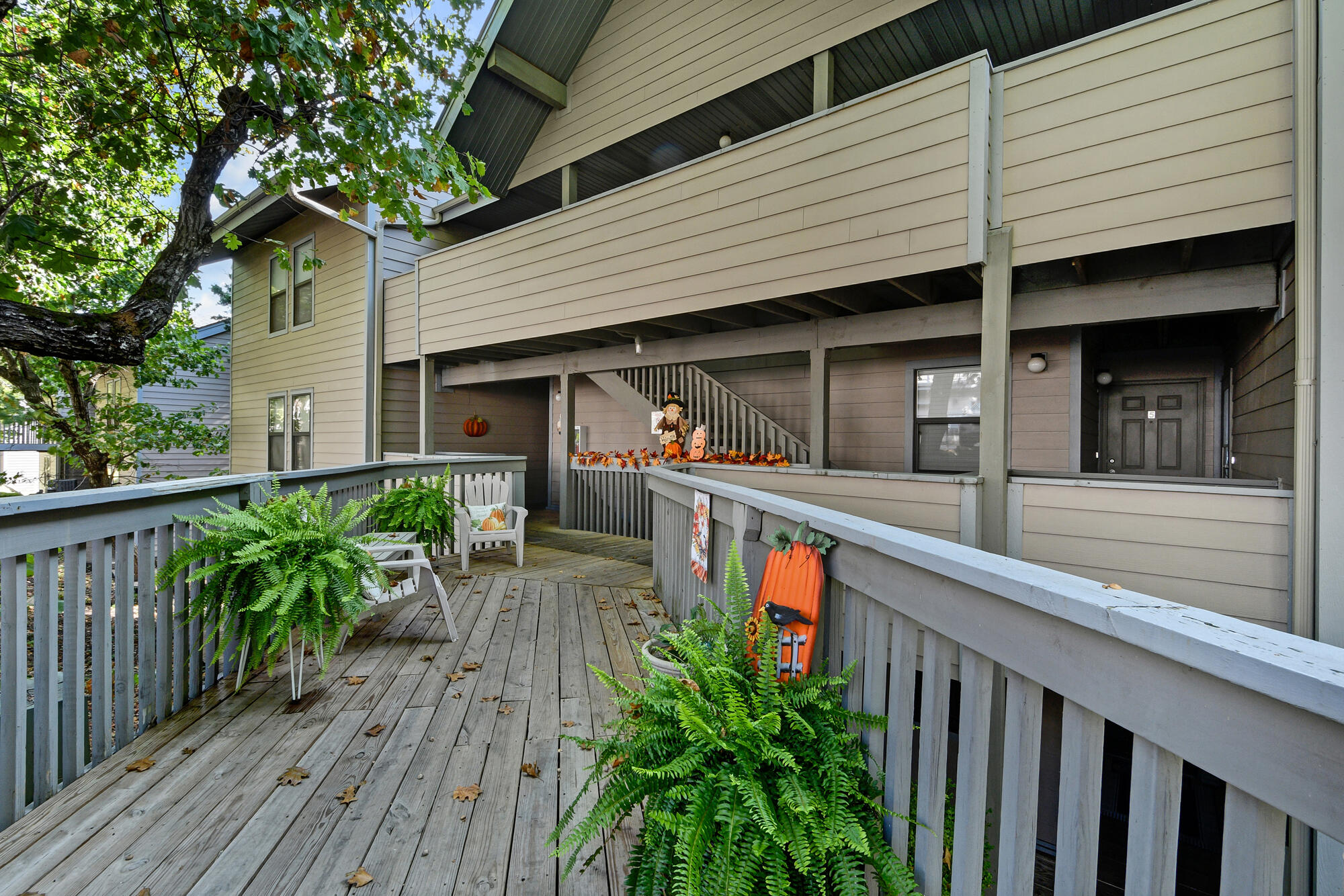 5 Treehouse Lane # 3 Property Photo 6