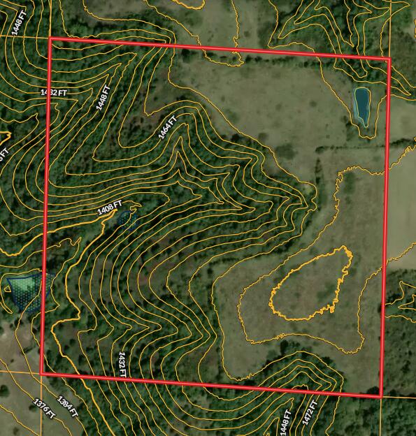 000 Freedom Road 40 Ac South Property Photo 3