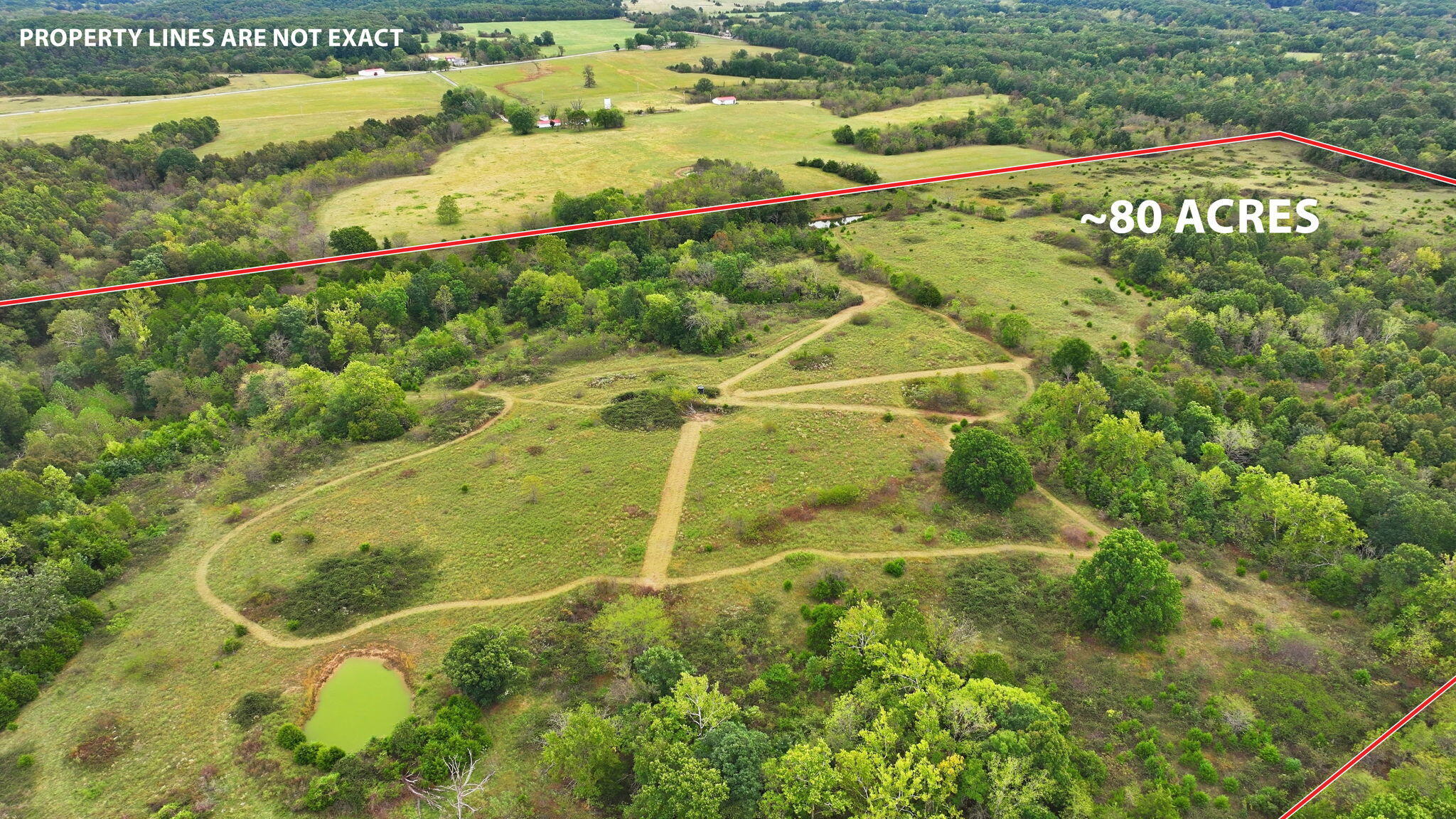 60335428 Property Photo 2