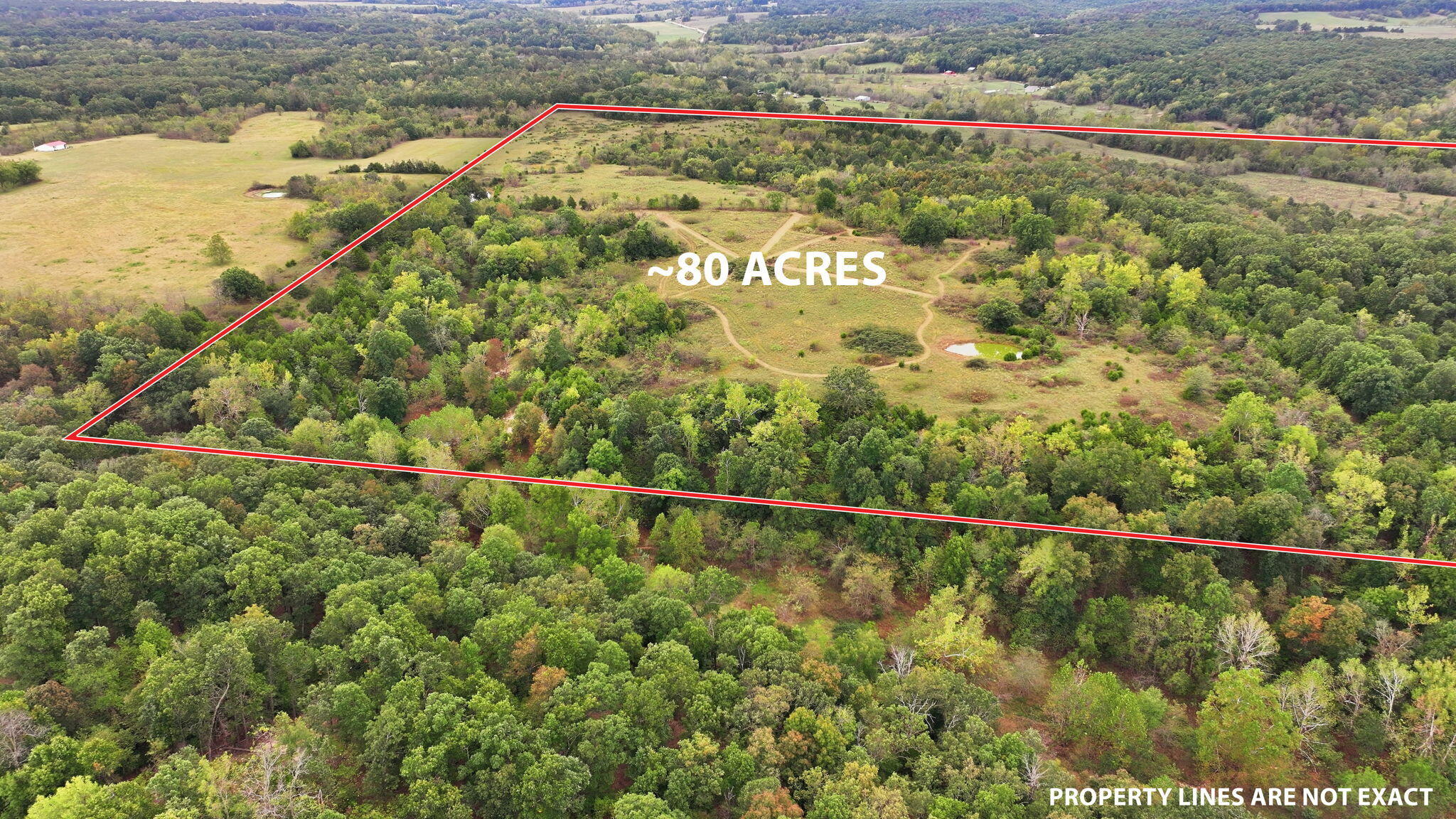60335428 Property Photo 11