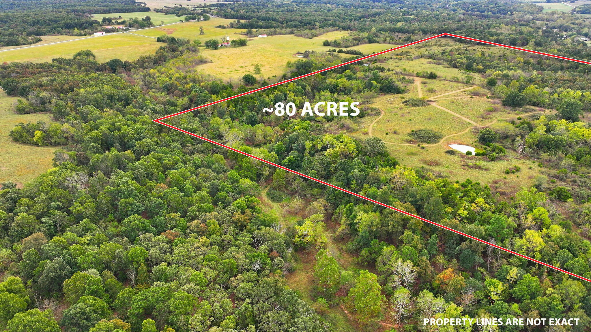 60335428 Property Photo 12