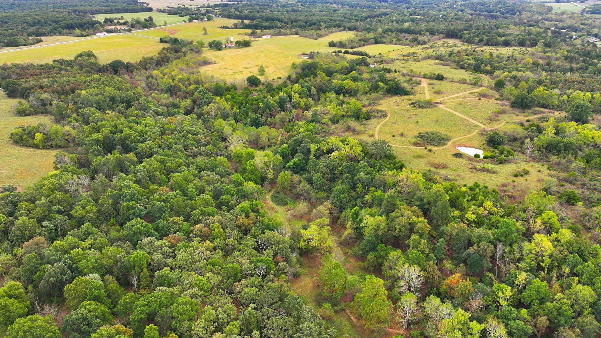 60335428 Property Photo 16