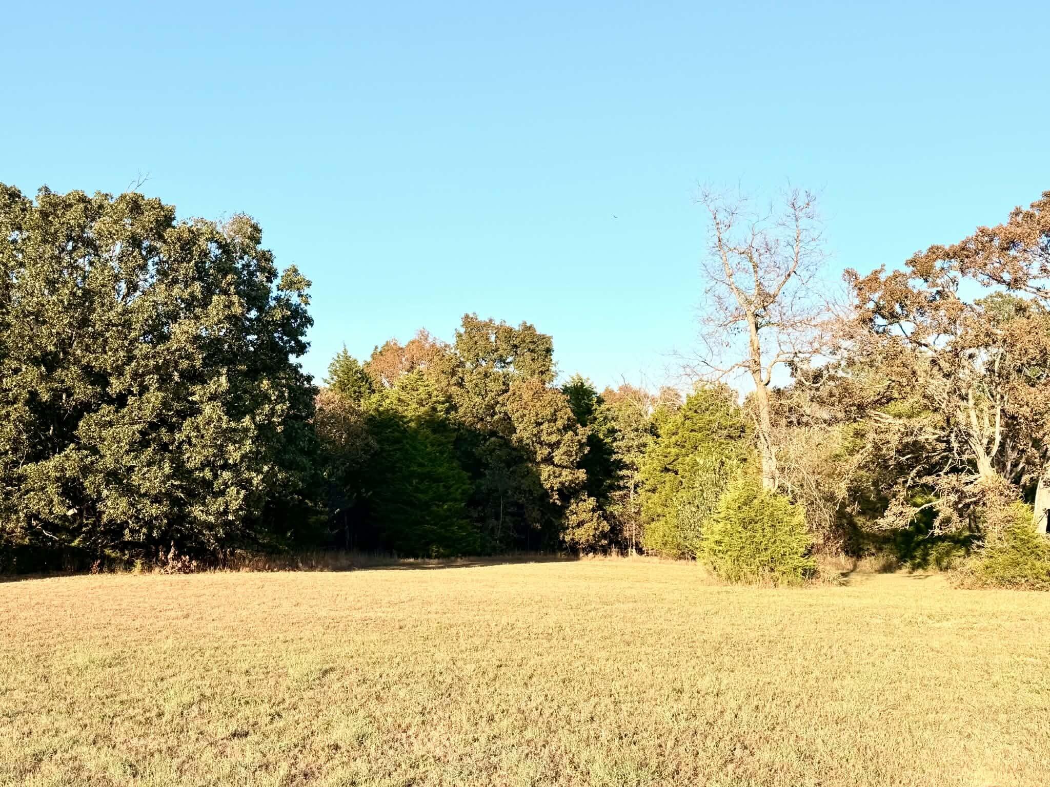 20315 East Hwy H Property Photo 19