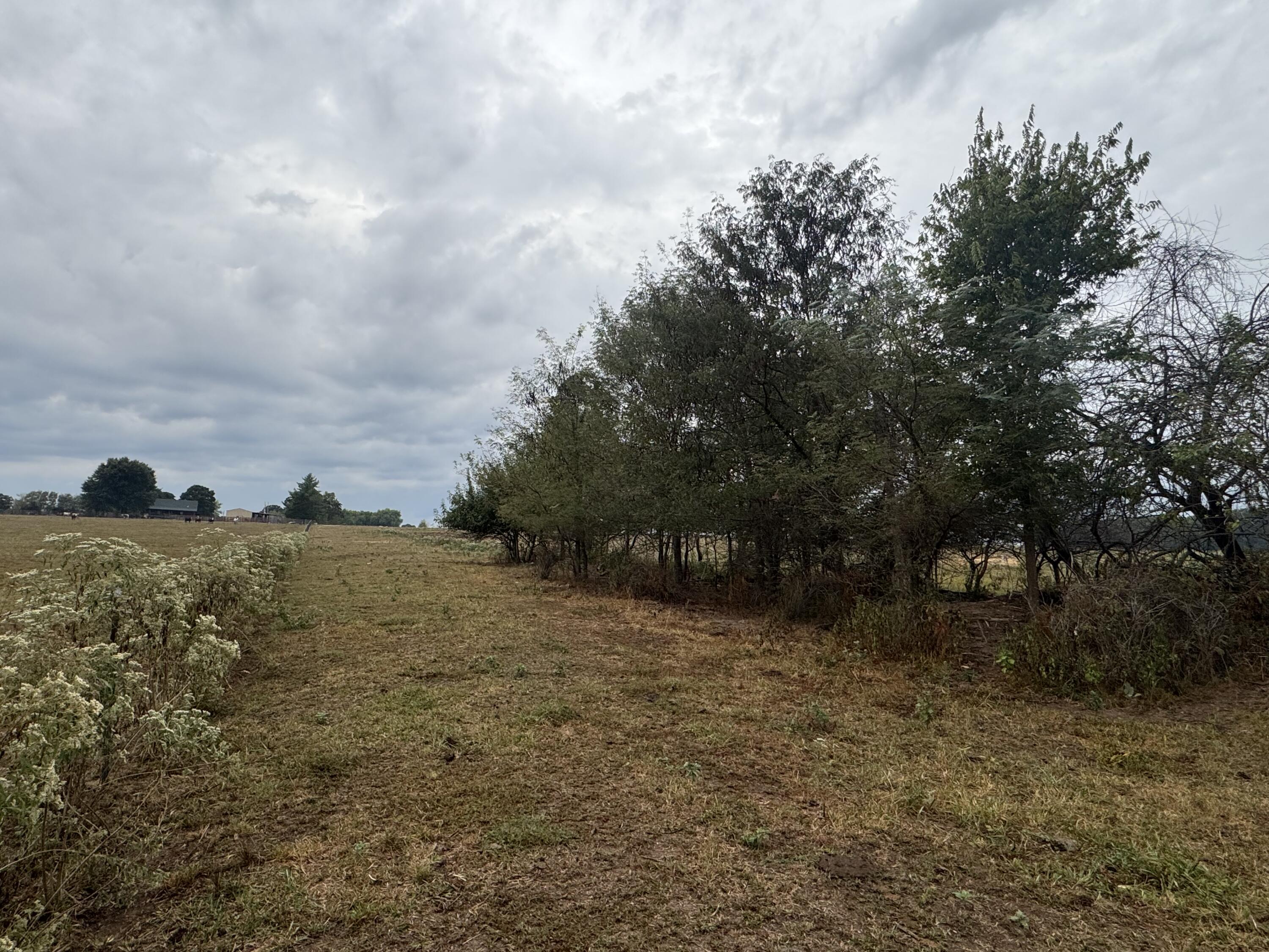 4452 South 70th Road Property Photo 106