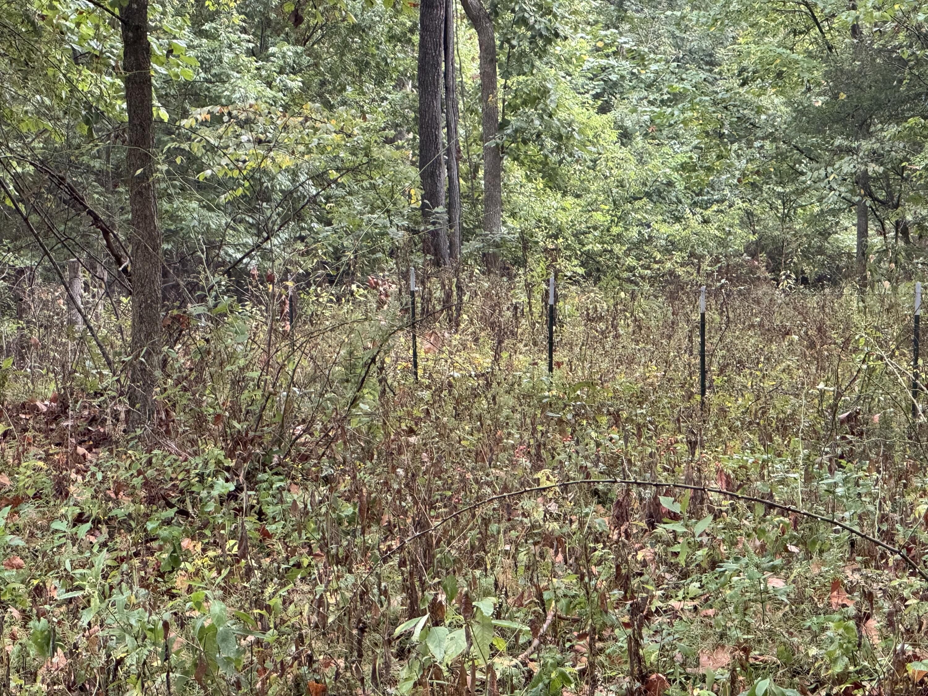 4452 South 70th Road Property Photo 127